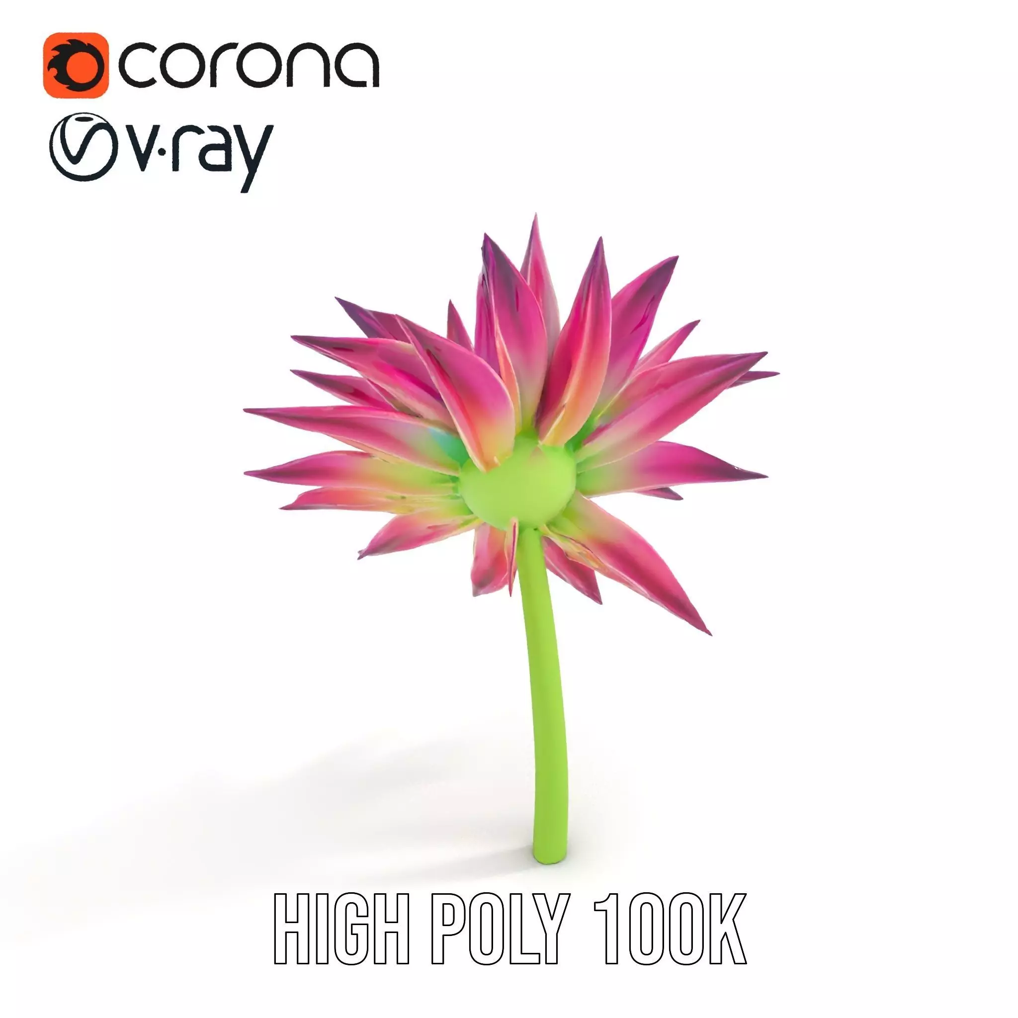 Radiant Bloom Flower model pack Low-poly 3D model_28