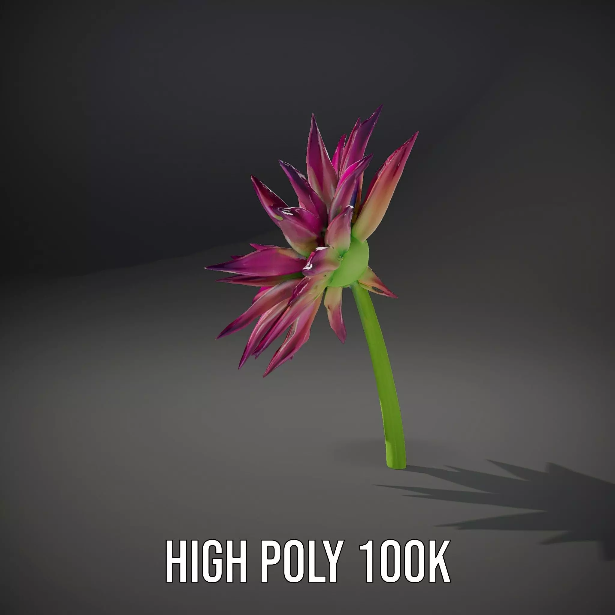Radiant Bloom Flower model pack Low-poly 3D model_10