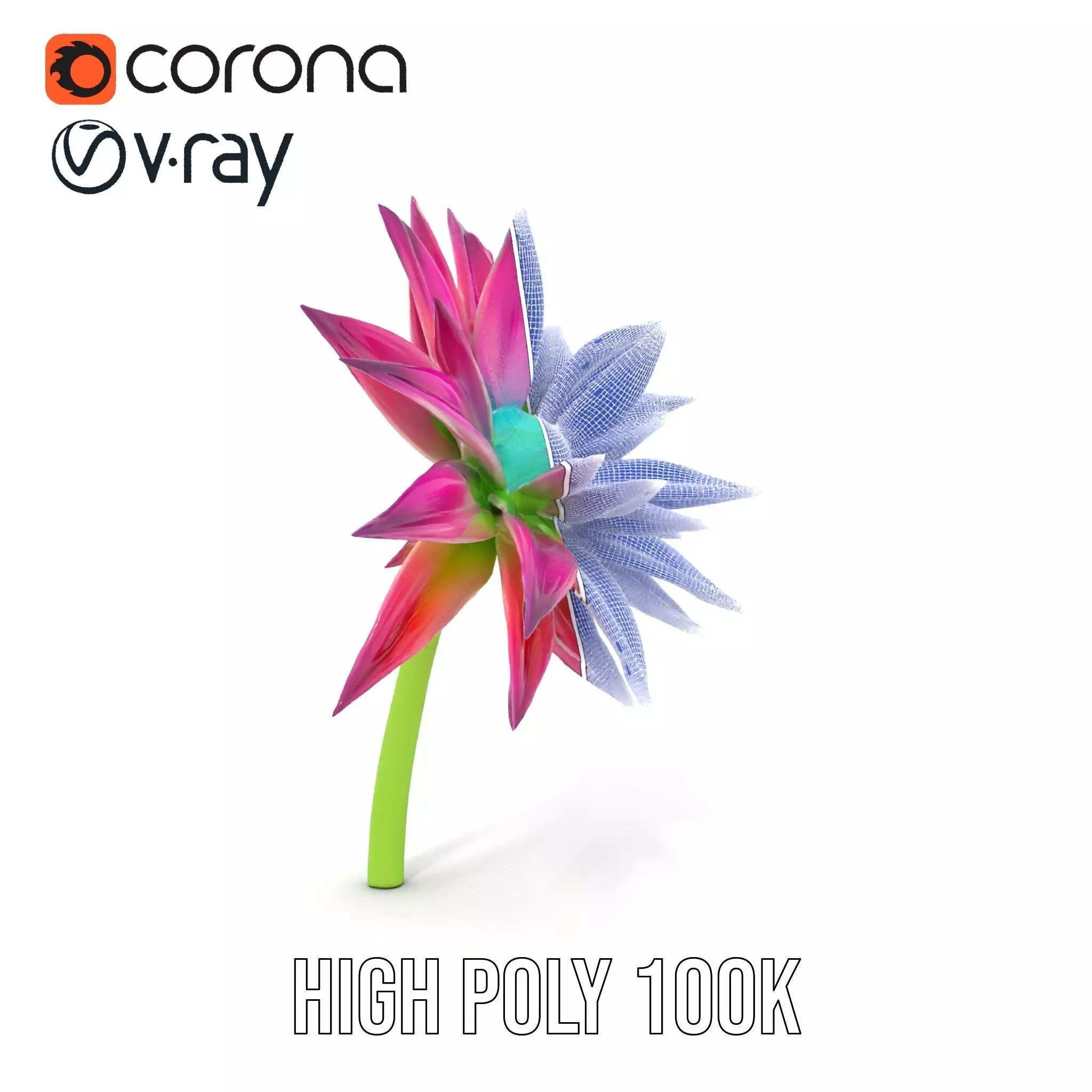 Radiant Bloom Flower model pack Low-poly 3D model_34