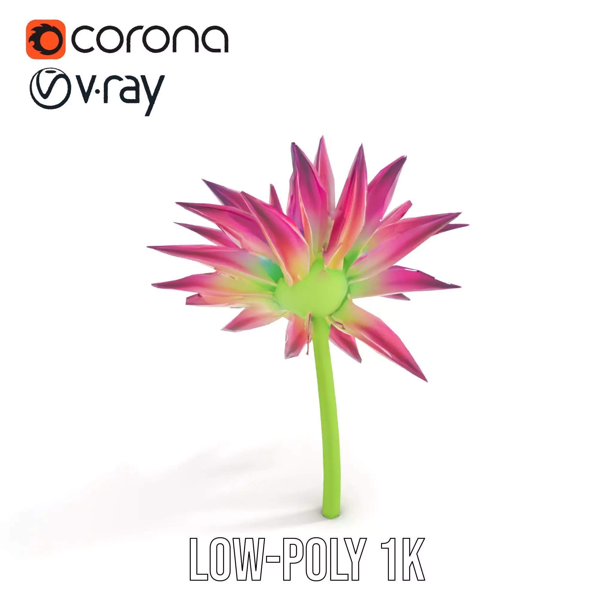 Radiant Bloom Flower model pack Low-poly 3D model_15