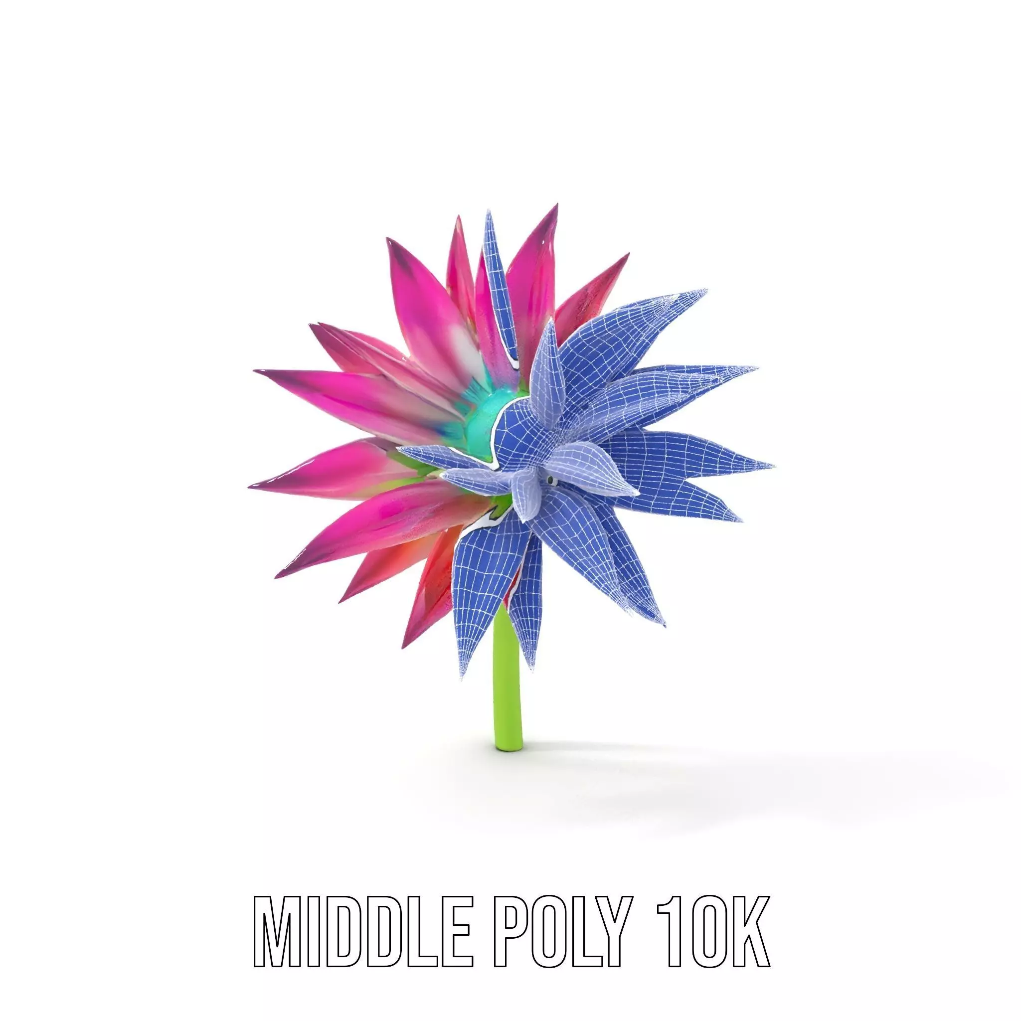 Radiant Bloom Flower model pack Low-poly 3D model_23