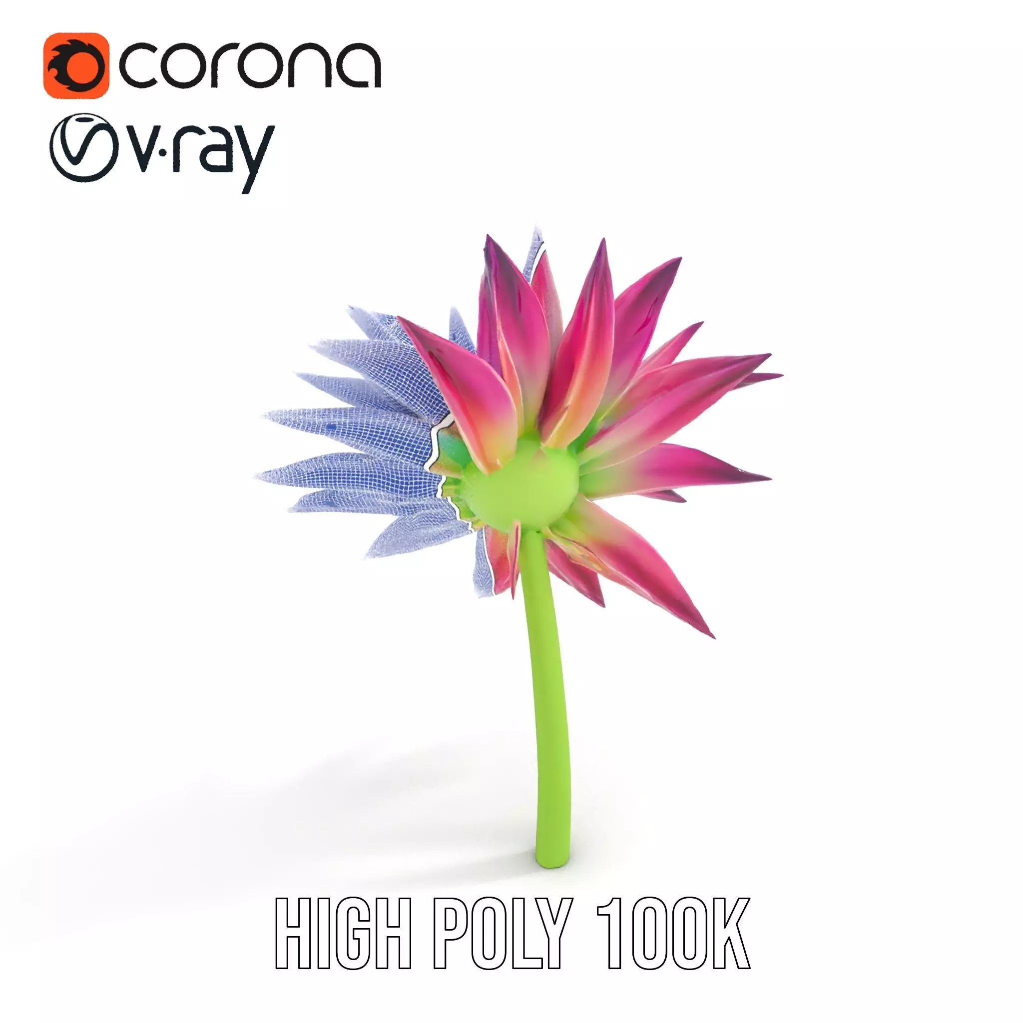 Radiant Bloom Flower model pack Low-poly 3D model_31