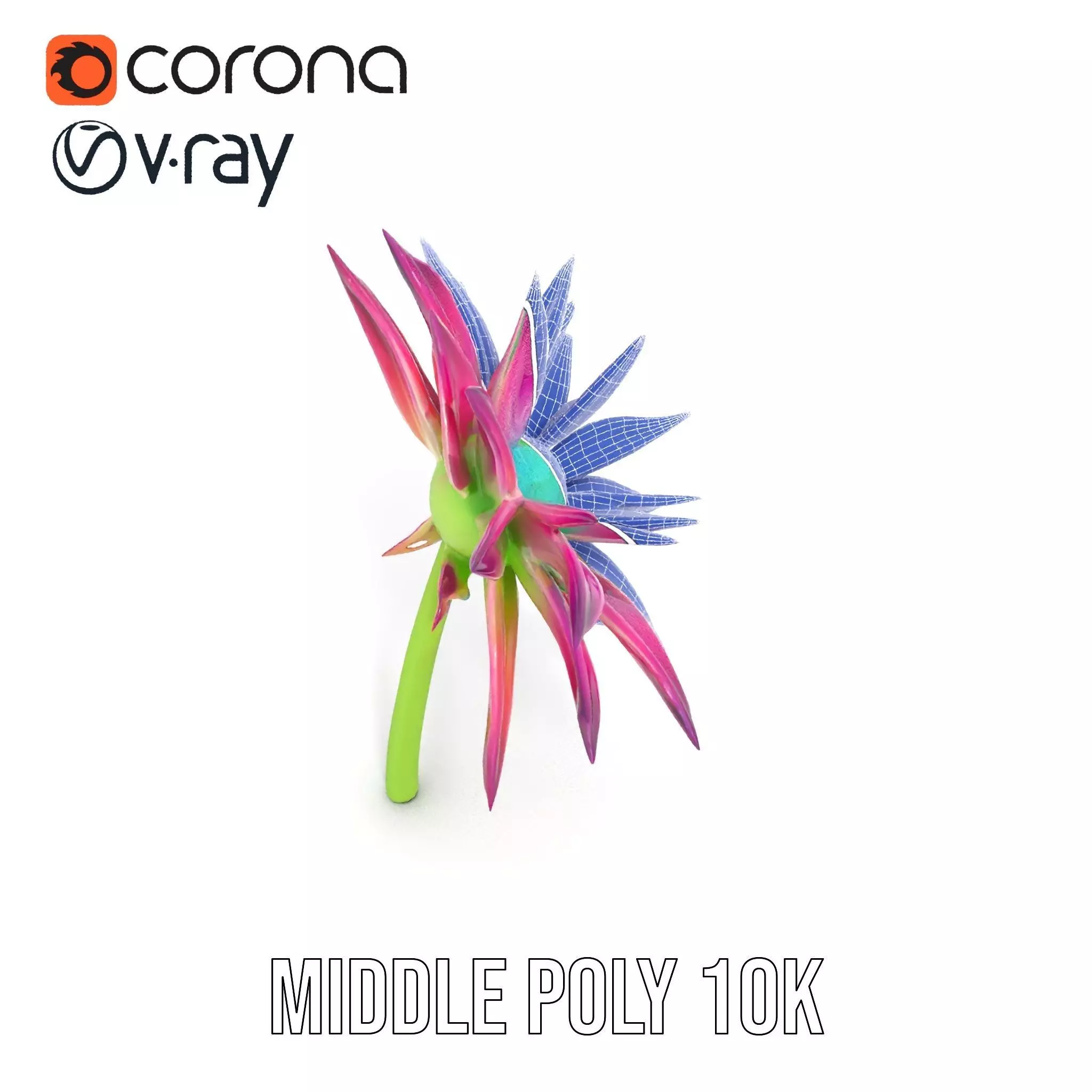 Radiant Bloom Flower model pack Low-poly 3D model_18