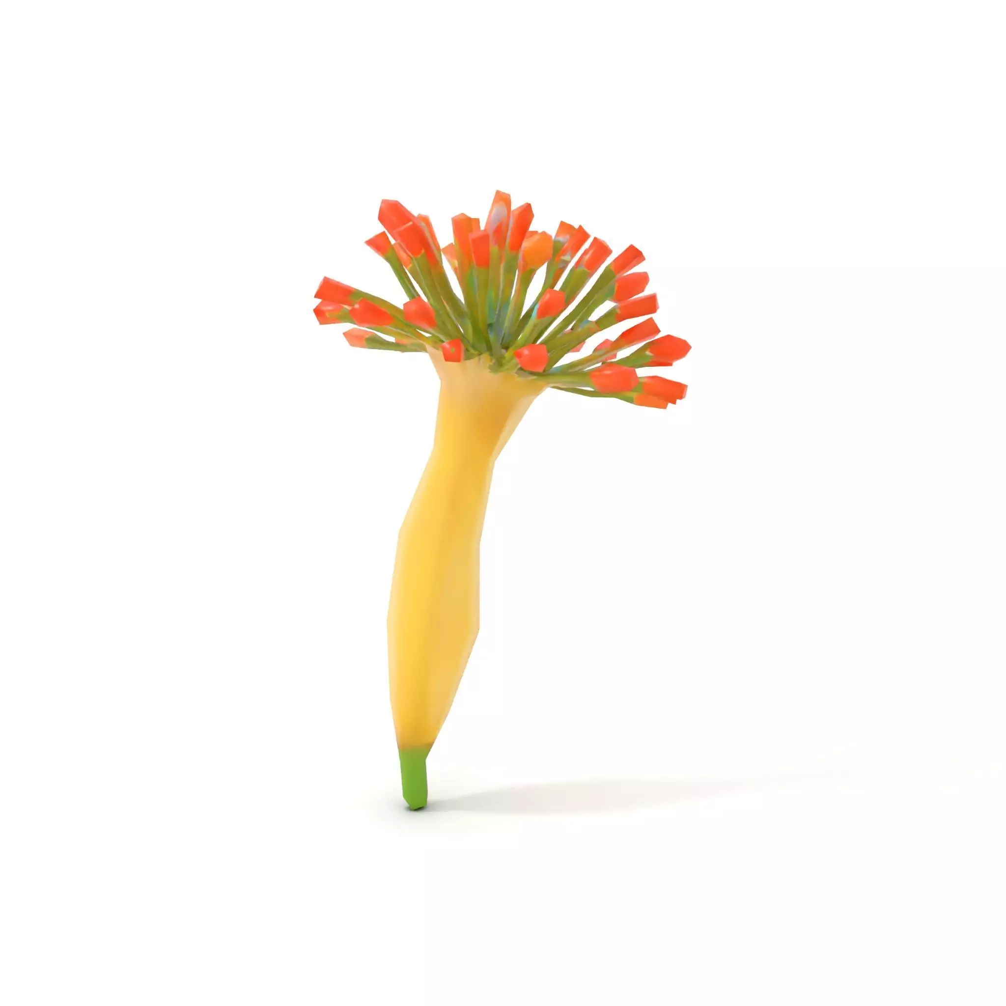 Orange Blossom Bloom model pack Low-poly 3D model_7