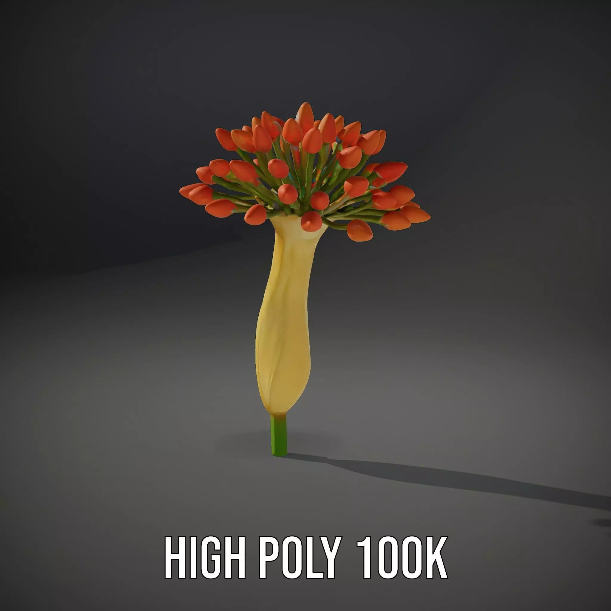 Orange Blossom Bloom model pack Low-poly 3D model_10