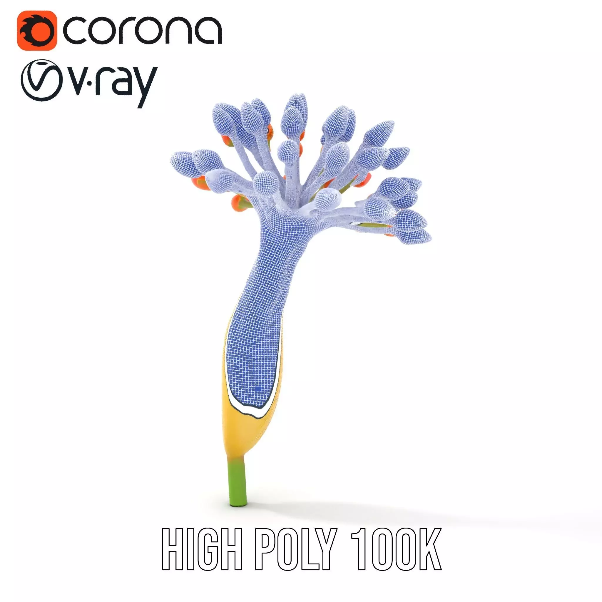 Orange Blossom Bloom model pack Low-poly 3D model_33