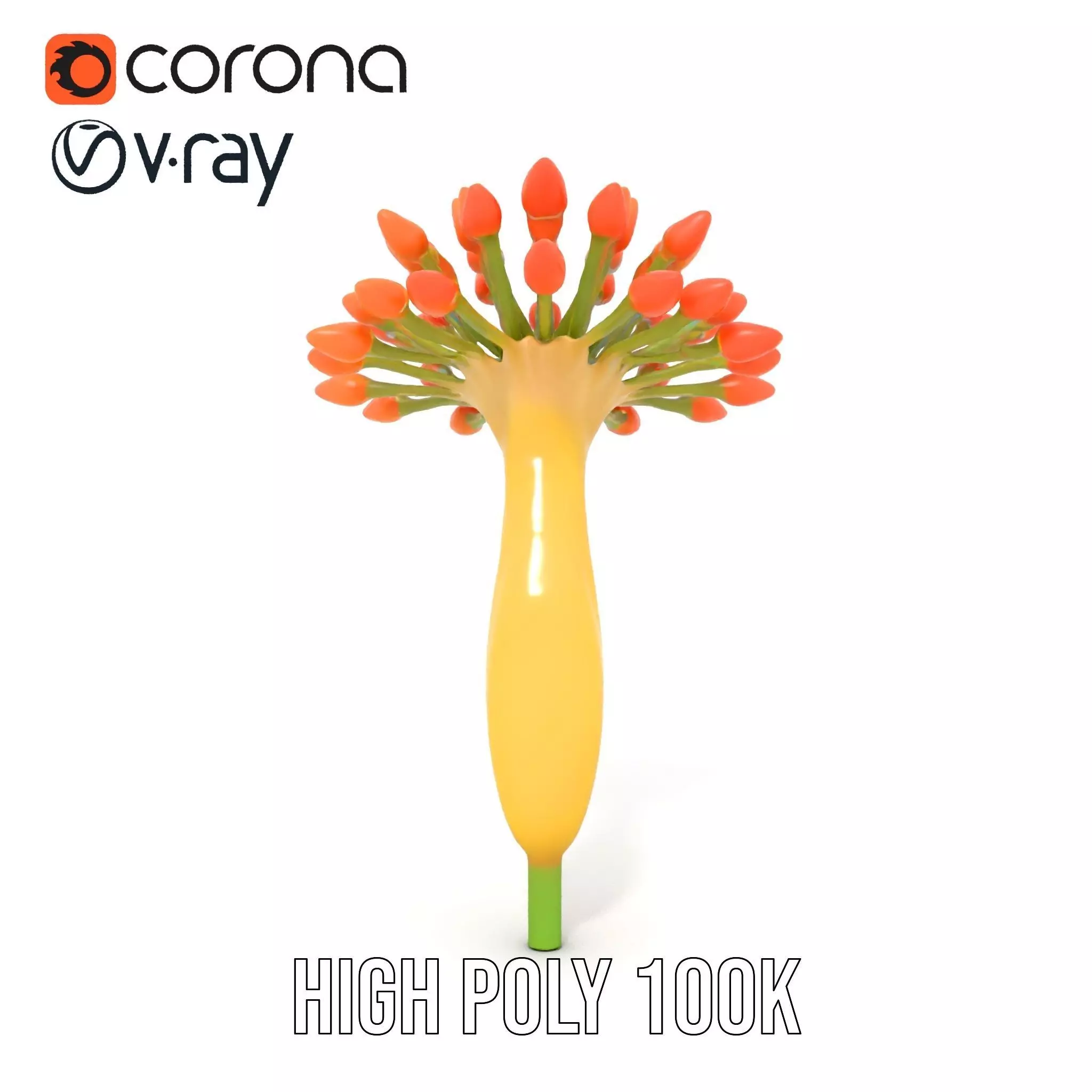 Orange Blossom Bloom model pack Low-poly 3D model_28