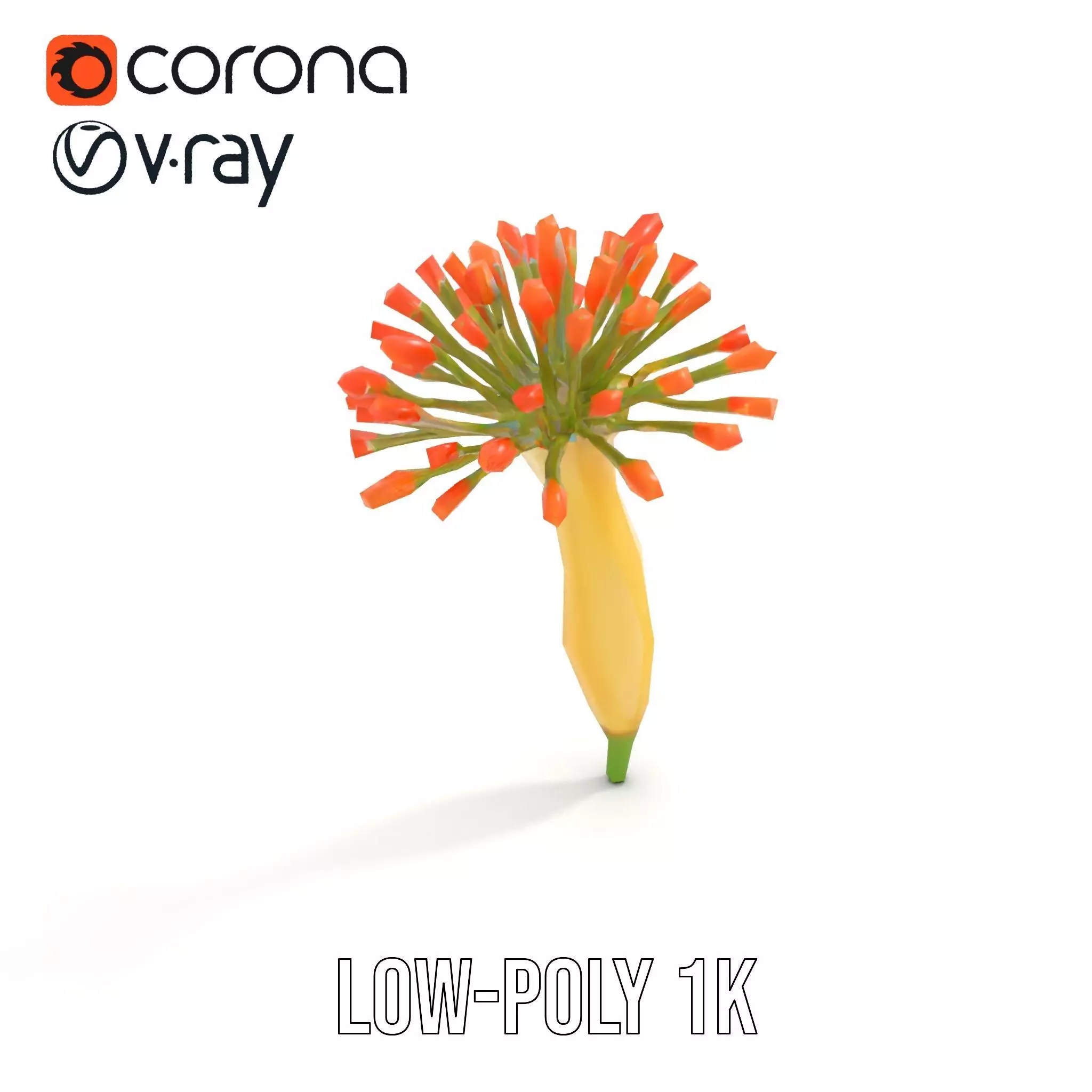 Orange Blossom Bloom model pack Low-poly 3D model_14