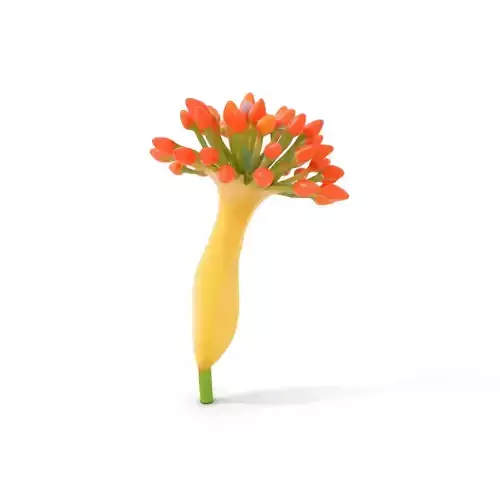 Orange Blossom Bloom model pack Low-poly 3D model