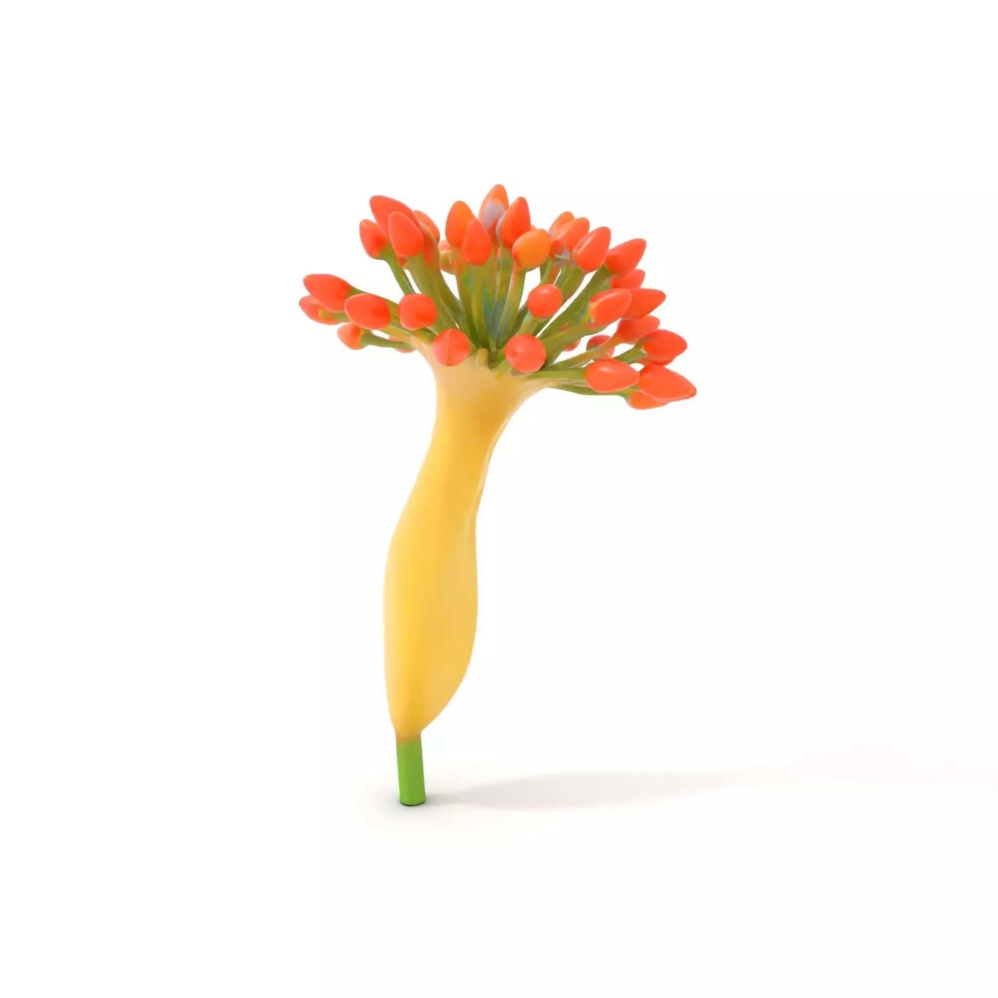 Orange Blossom Bloom model pack Low-poly 3D model_0