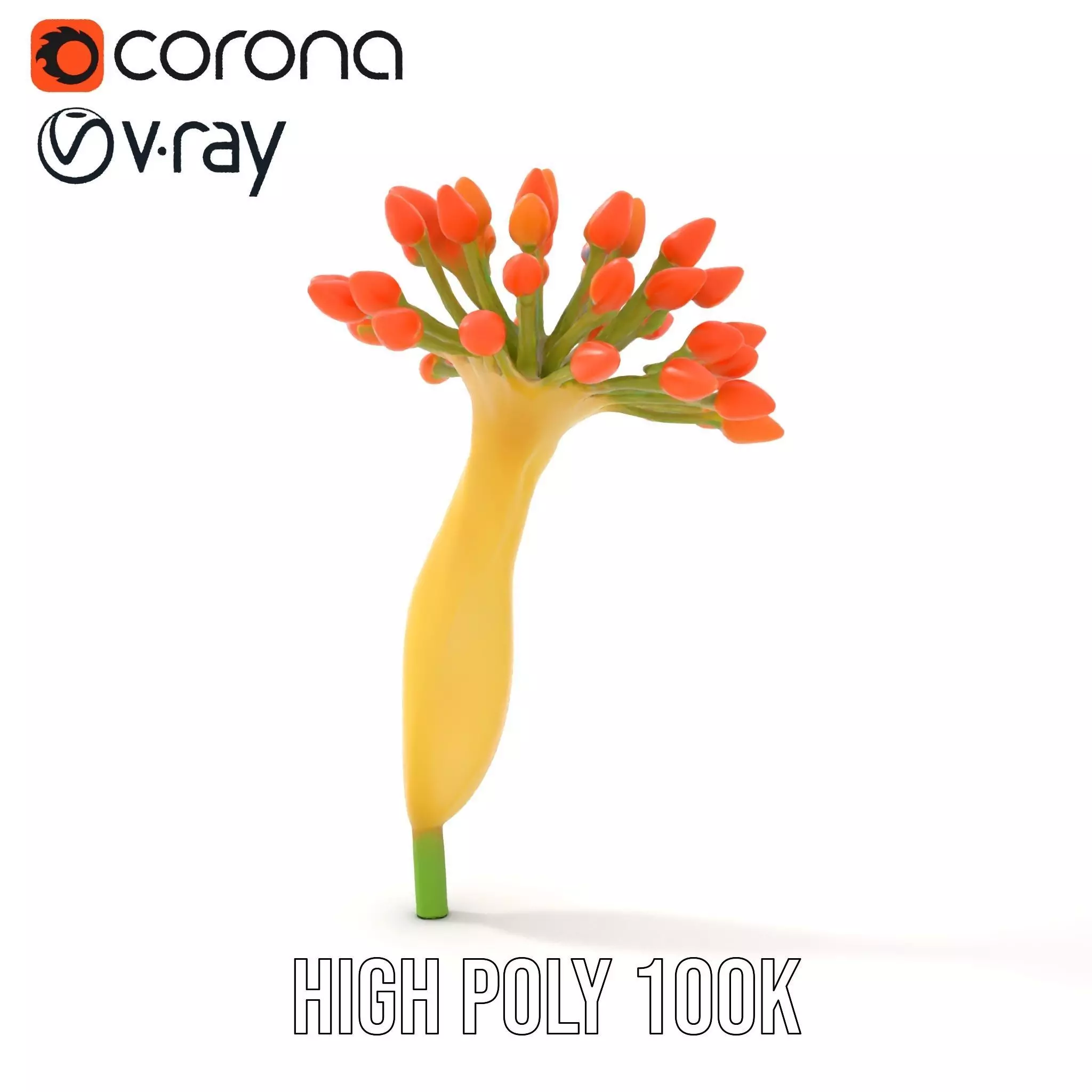 Orange Blossom Bloom model pack Low-poly 3D model_15