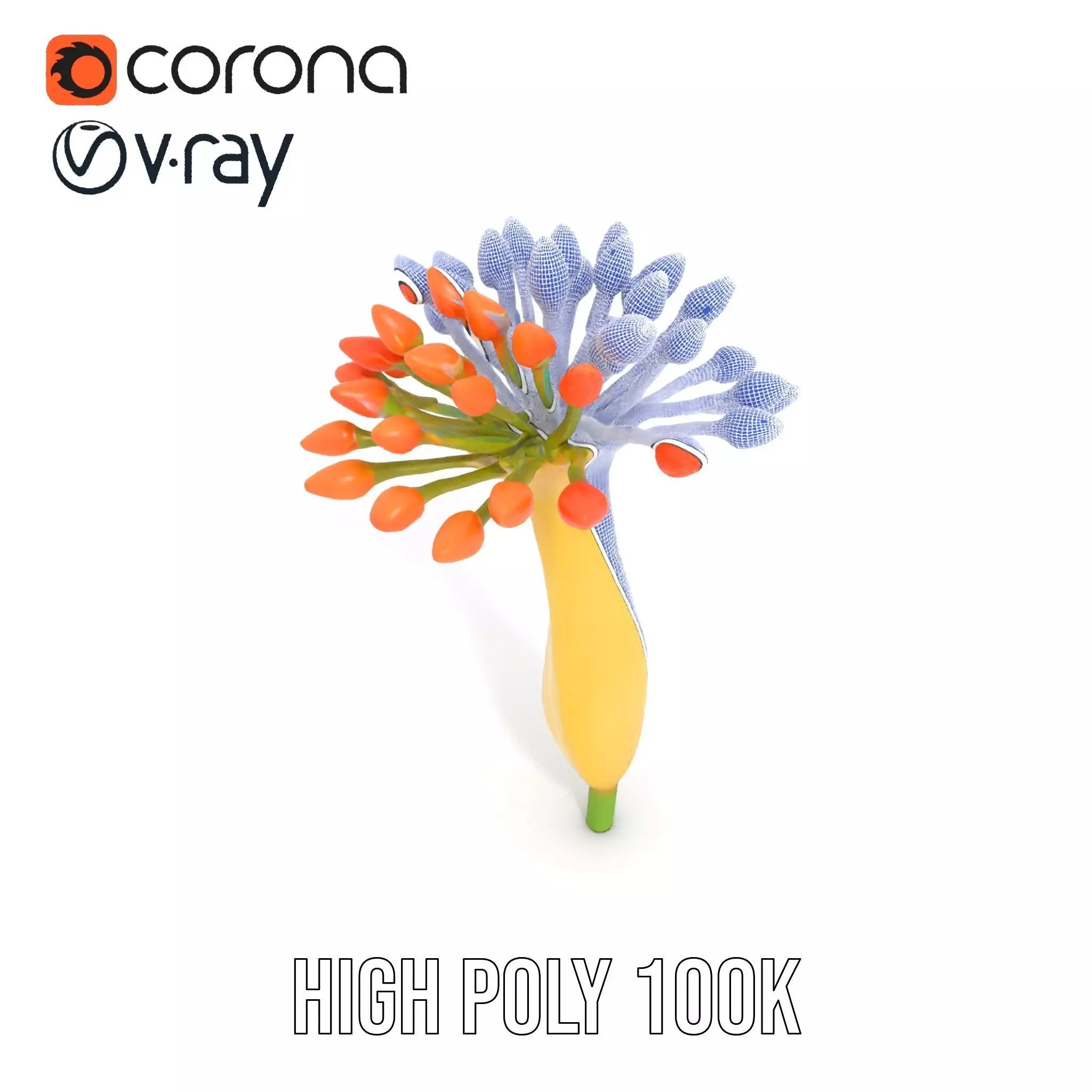 Orange Blossom Bloom model pack Low-poly 3D model_32