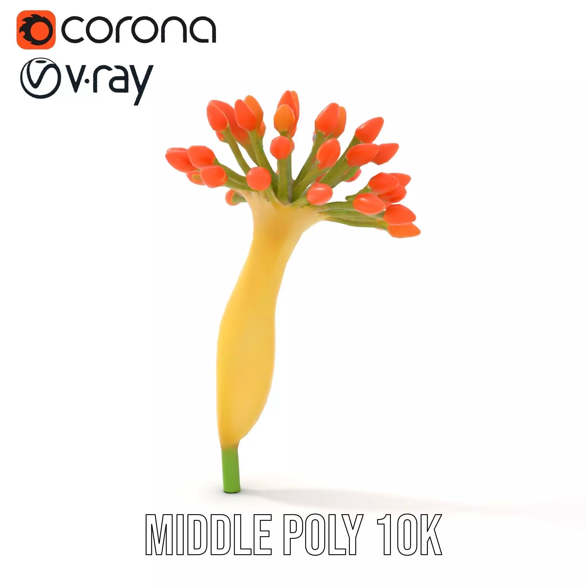 Orange Blossom Bloom model pack Low-poly 3D model_13