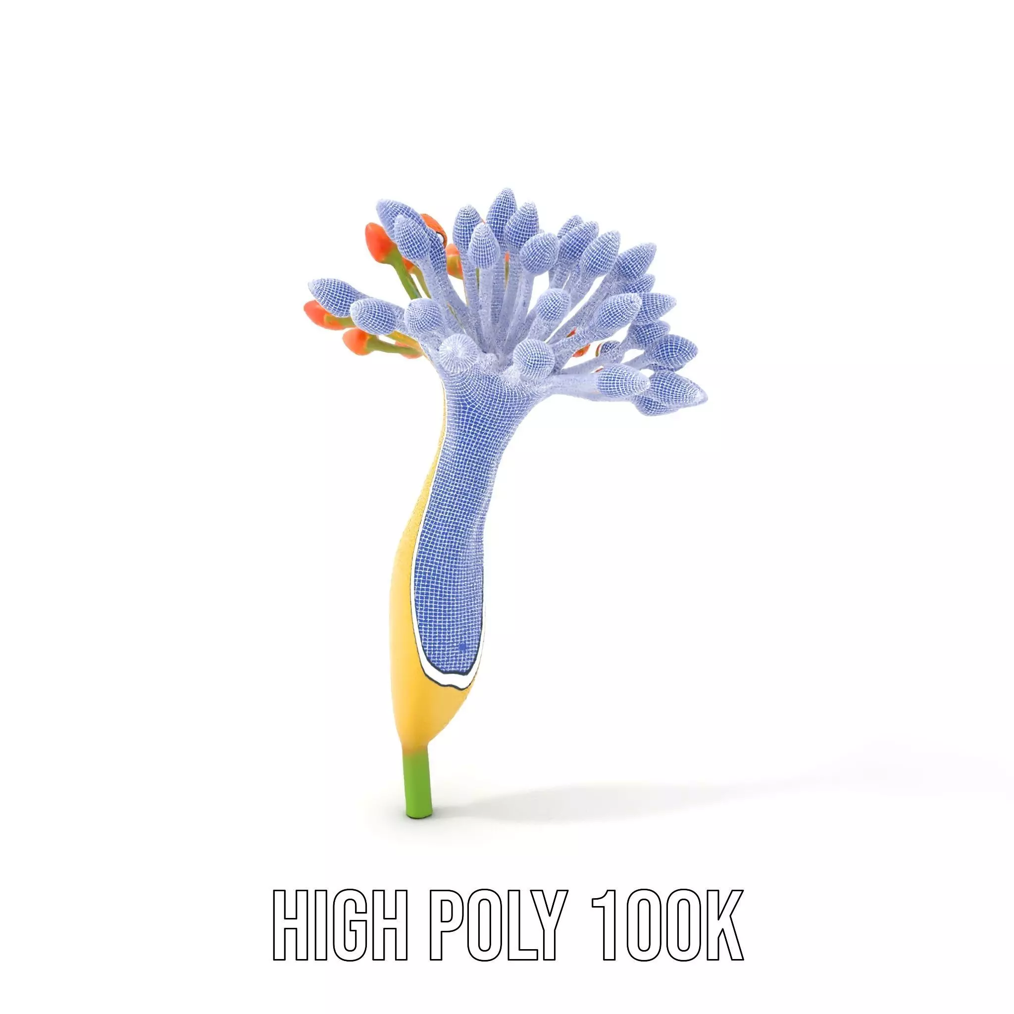 Orange Blossom Bloom model pack Low-poly 3D model_4
