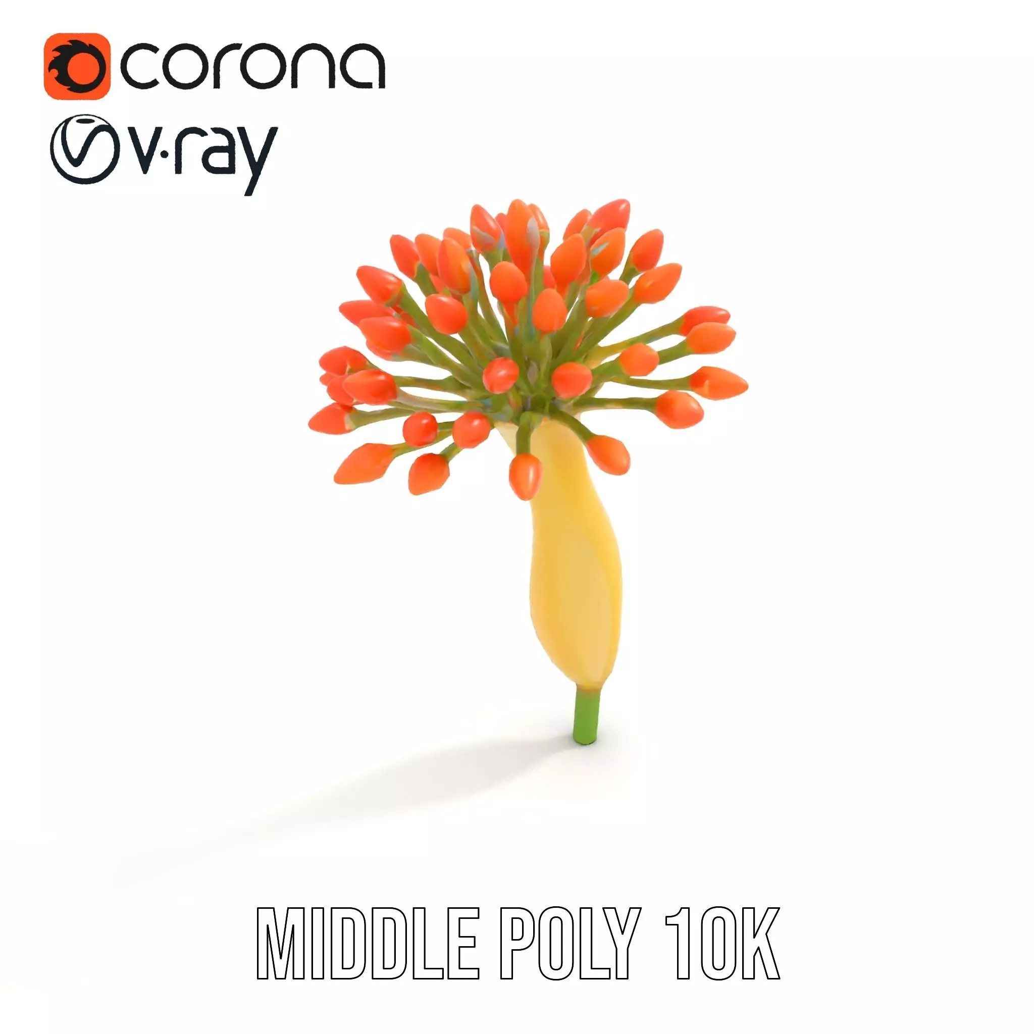 Orange Blossom Bloom model pack Low-poly 3D model_5