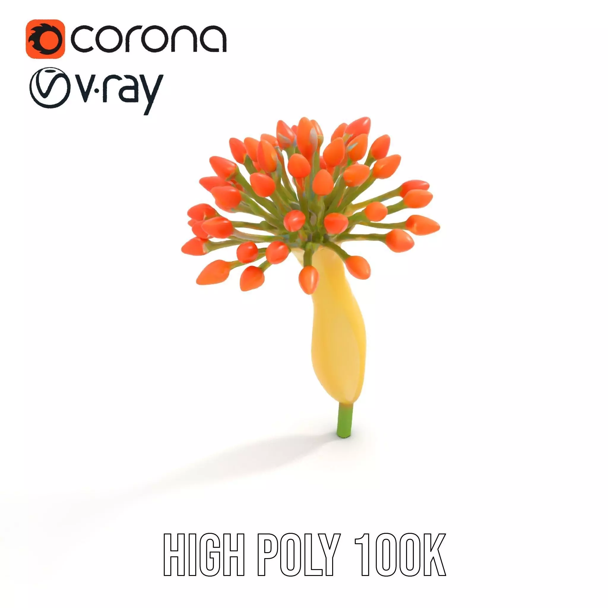 Orange Blossom Bloom model pack Low-poly 3D model_25