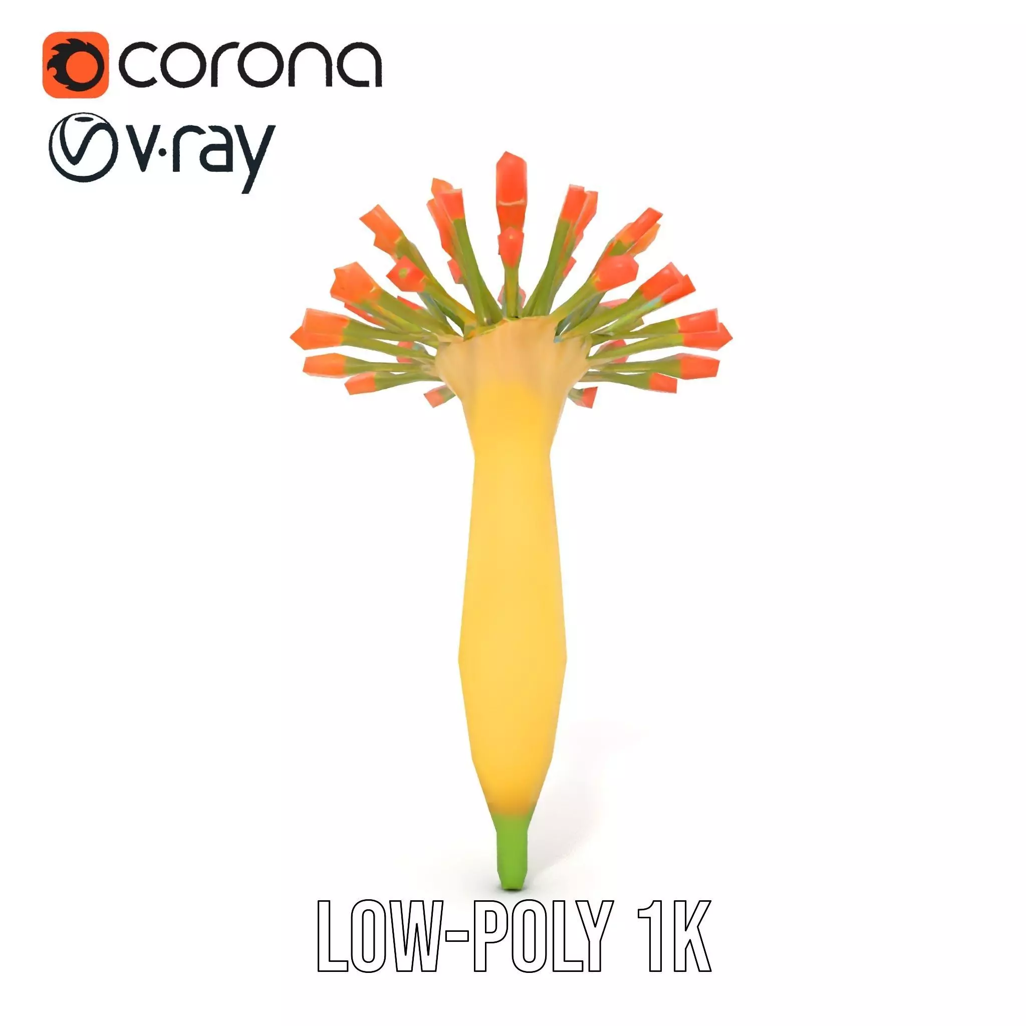 Orange Blossom Bloom model pack Low-poly 3D model_22