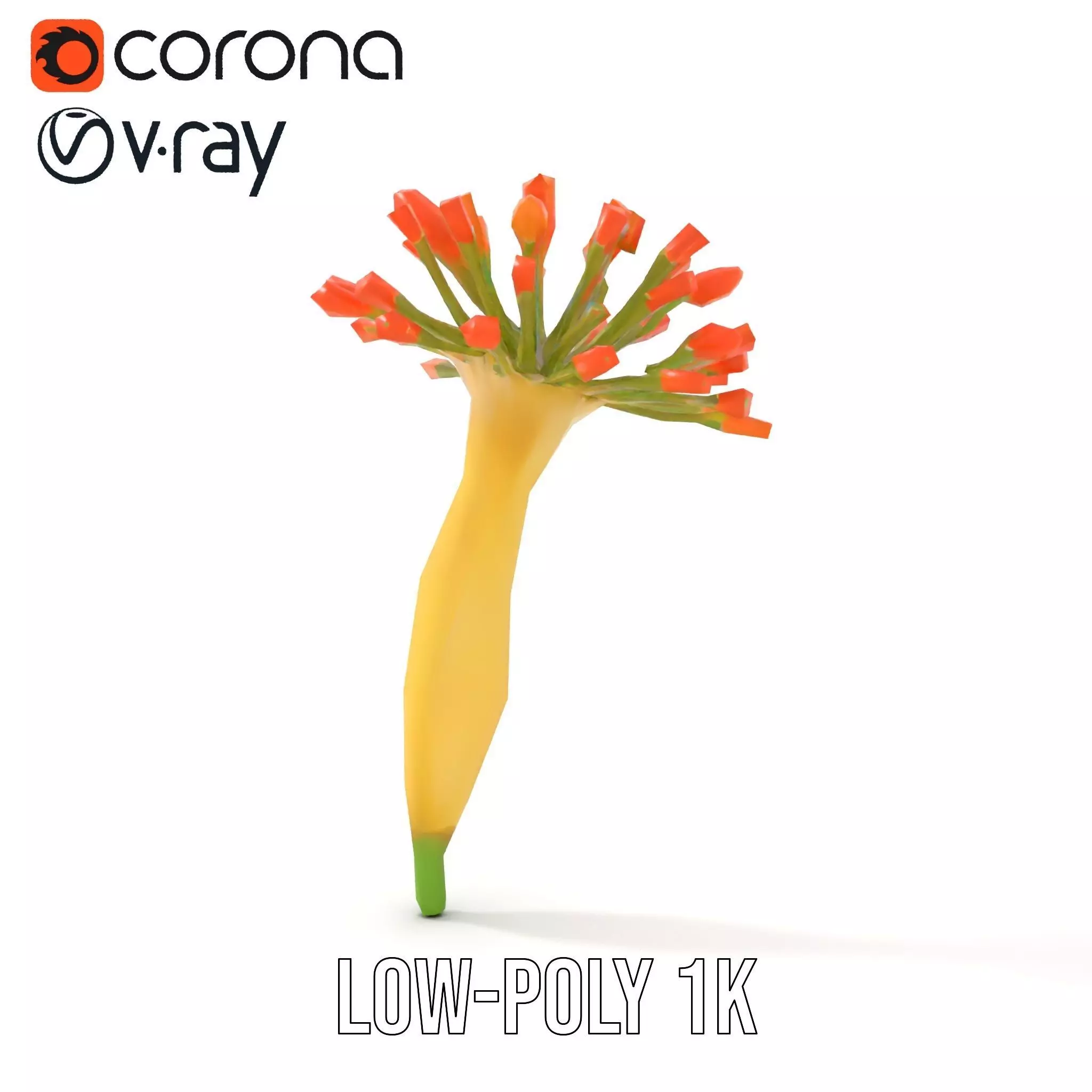 Orange Blossom Bloom model pack Low-poly 3D model_9