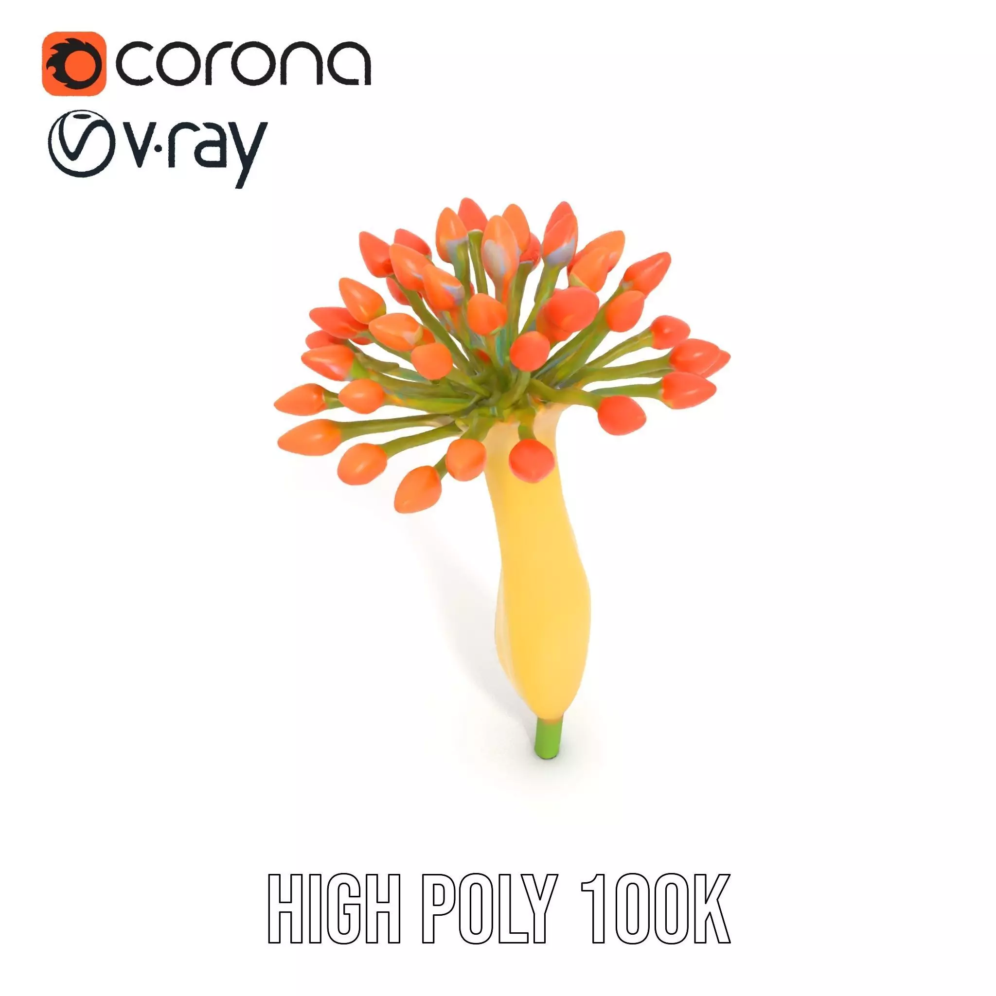 Orange Blossom Bloom model pack Low-poly 3D model_31
