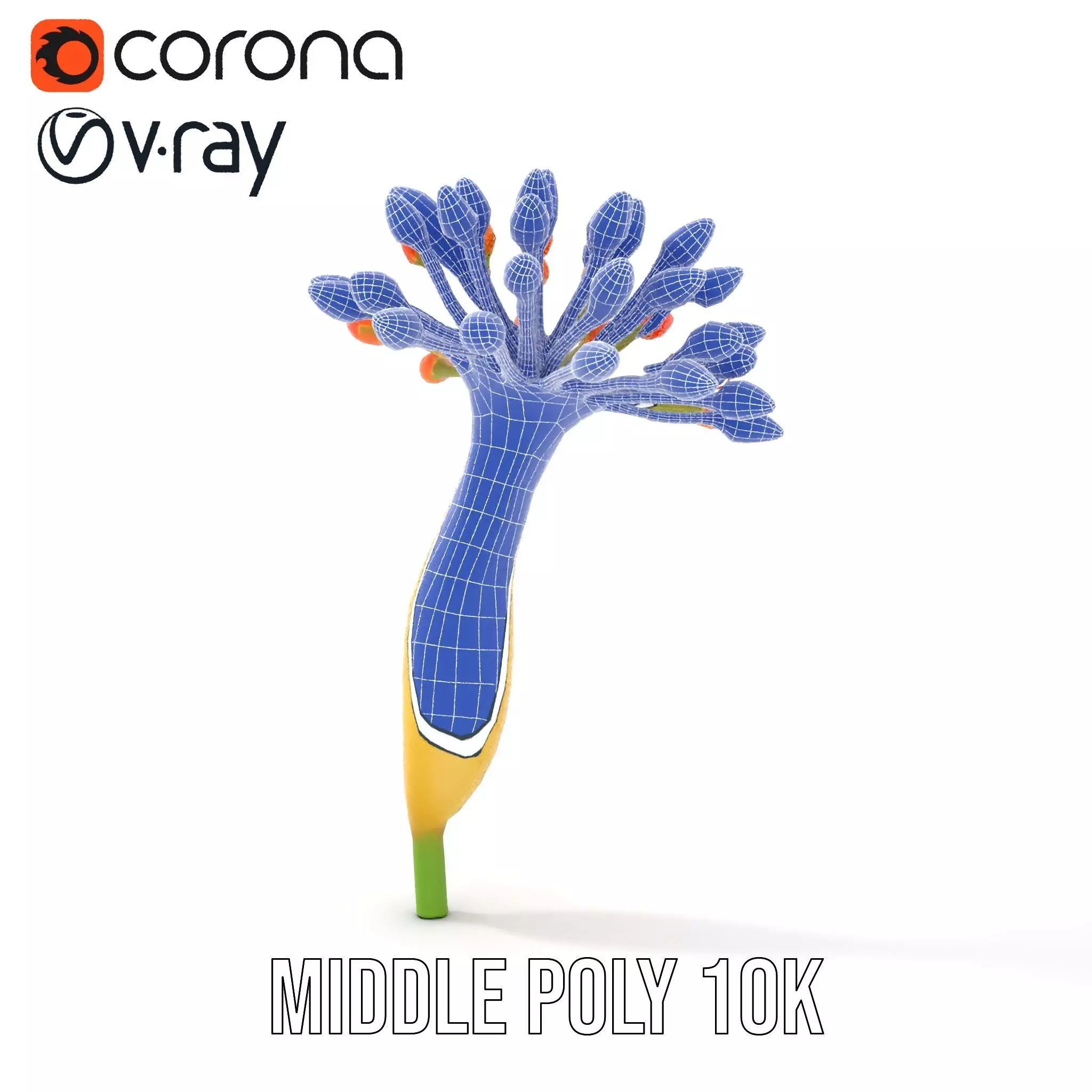 Orange Blossom Bloom model pack Low-poly 3D model_16