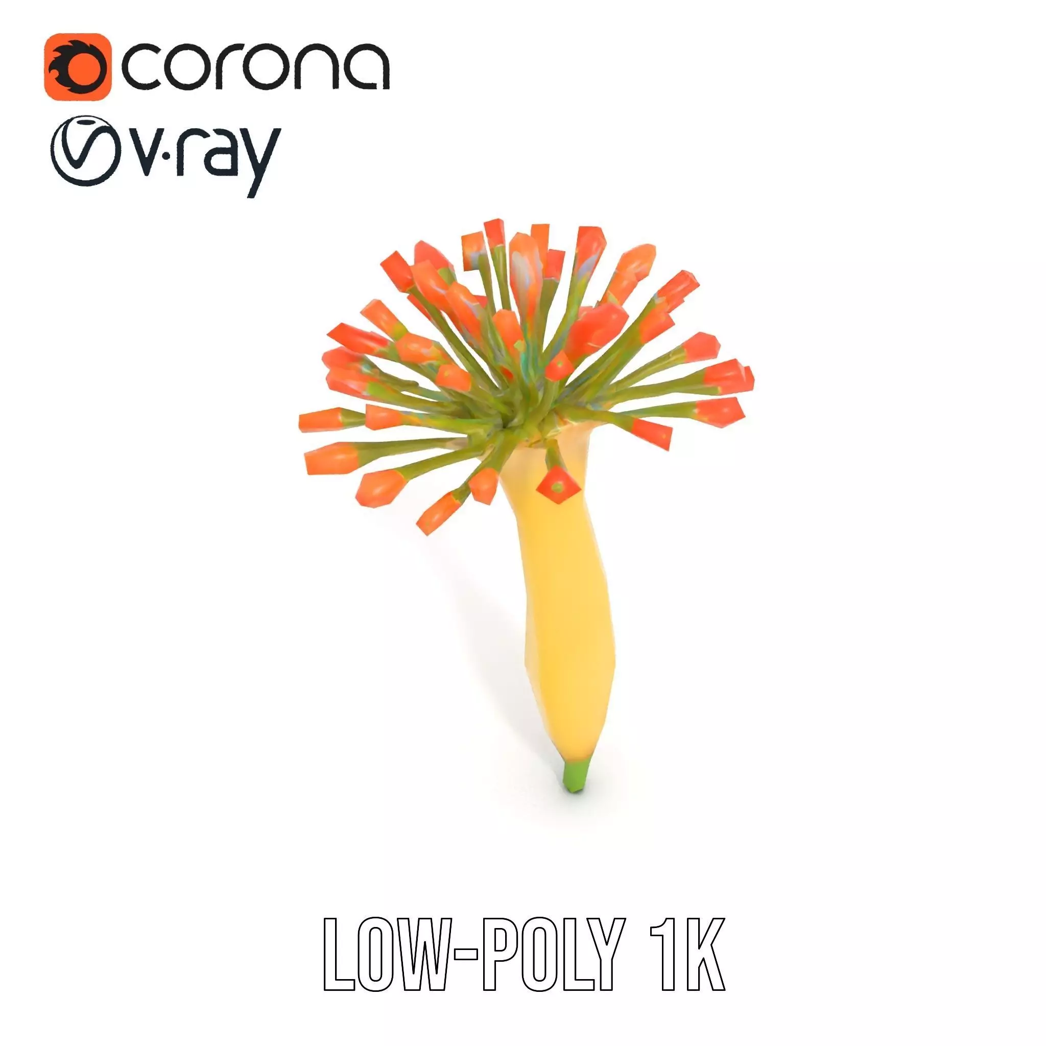 Orange Blossom Bloom model pack Low-poly 3D model_12