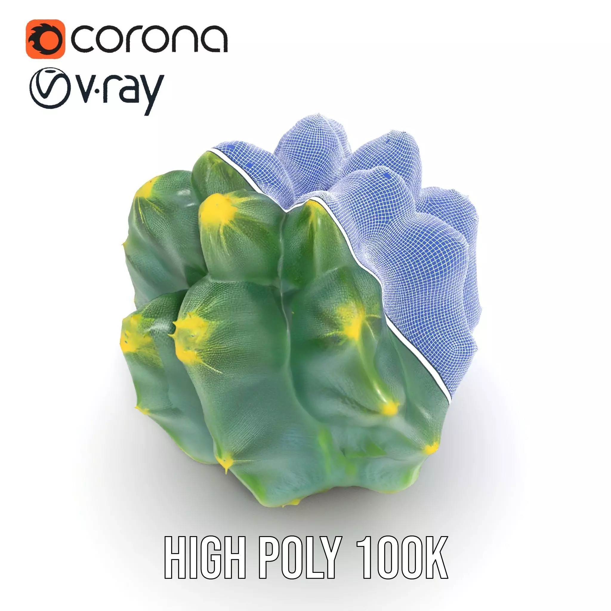Round Green Cactus model pack Low-poly 3D model_32