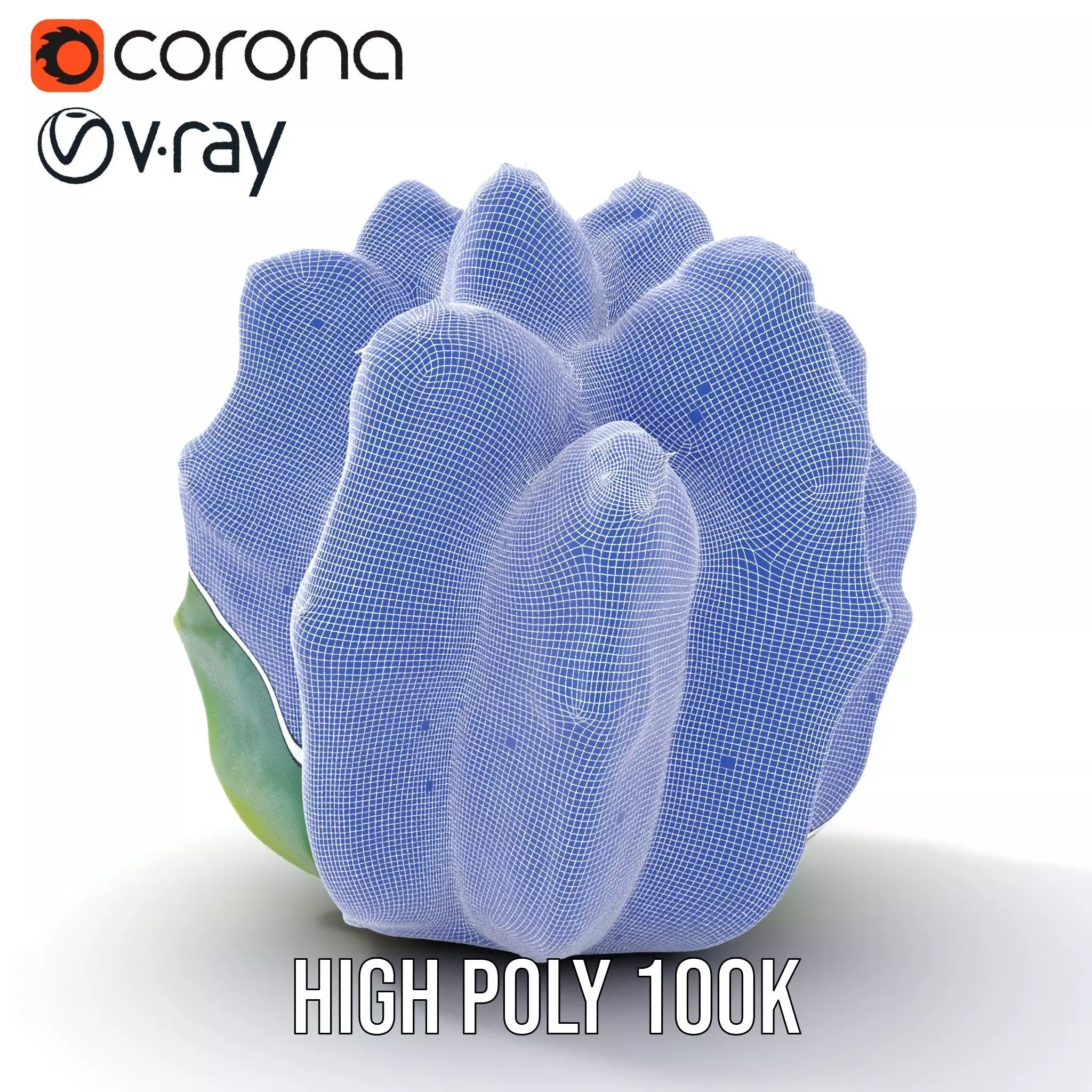 Round Green Cactus model pack Low-poly 3D model_33