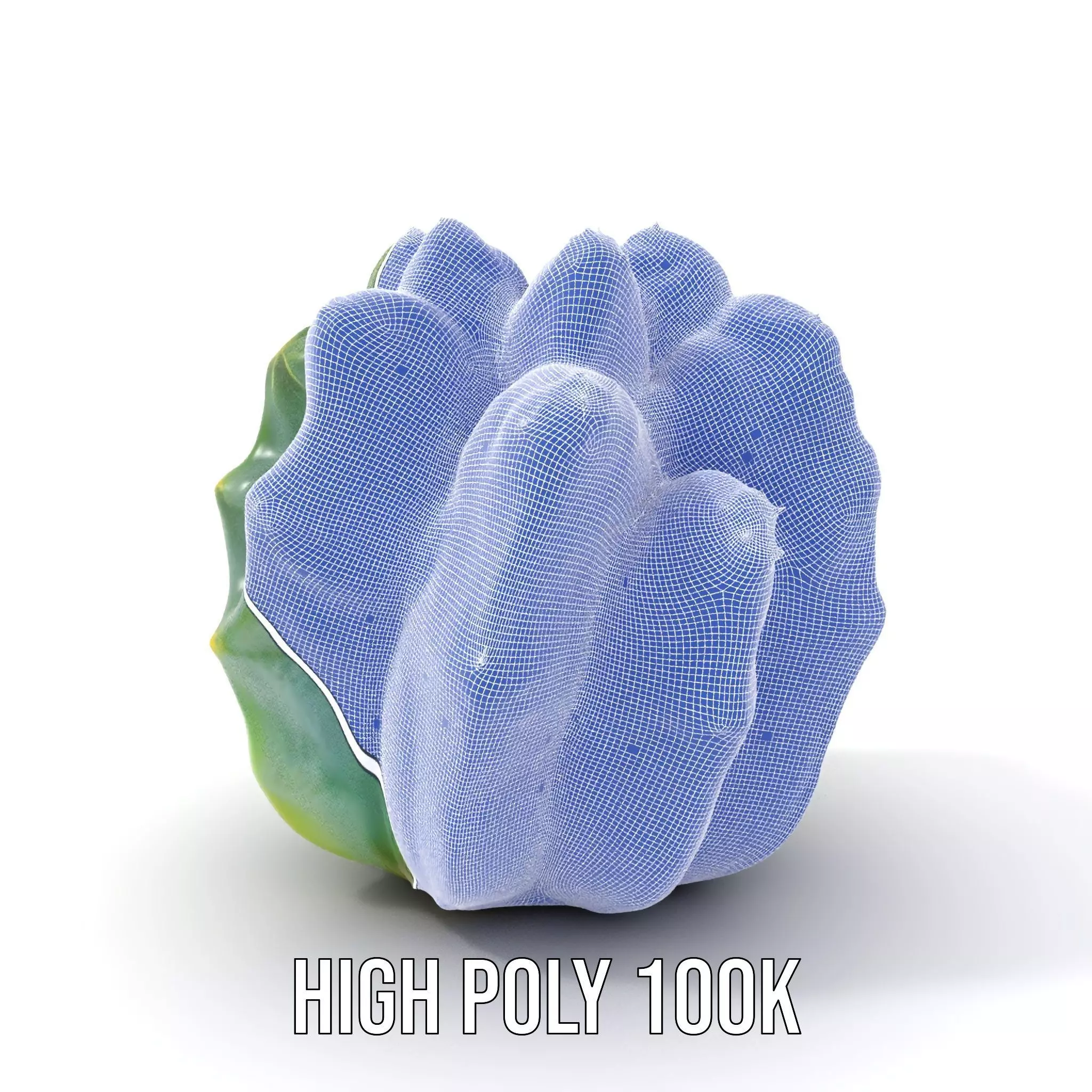 Round Green Cactus model pack Low-poly 3D model_4