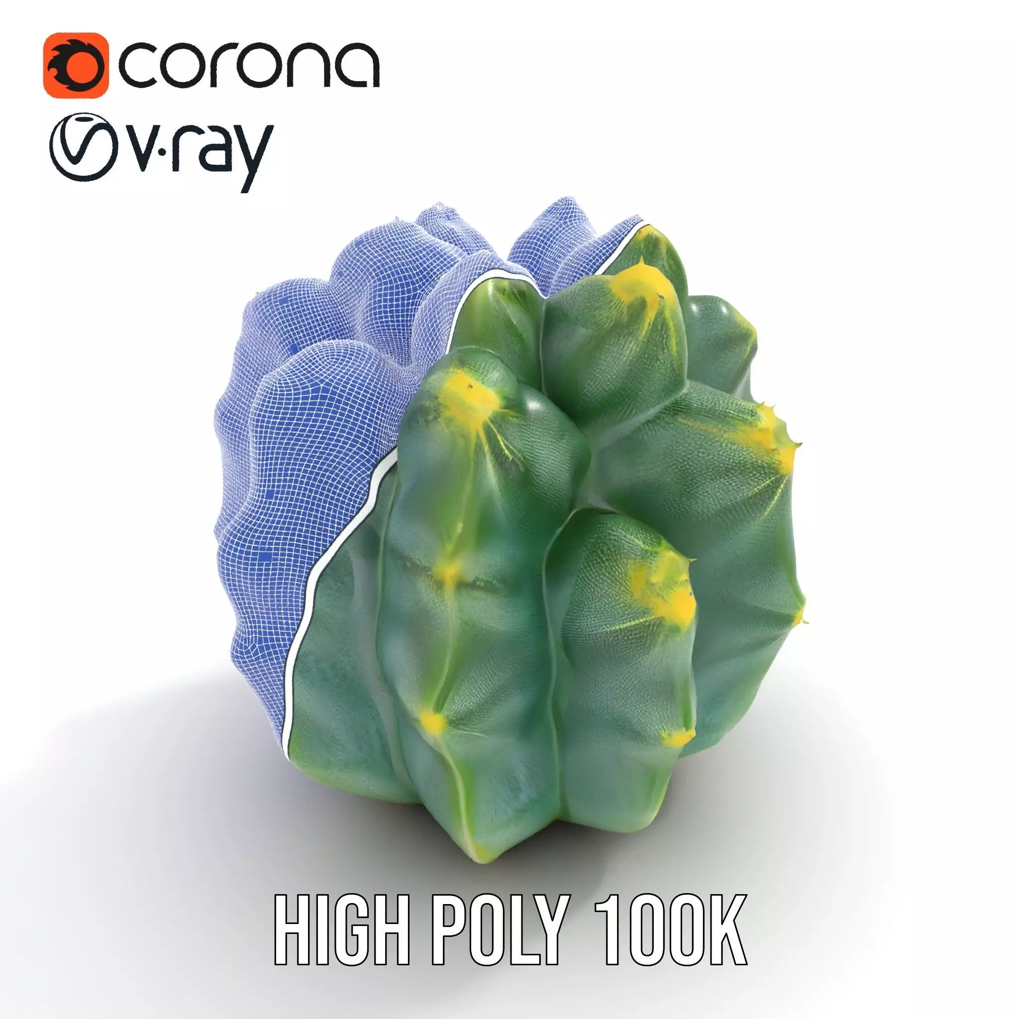 Round Green Cactus model pack Low-poly 3D model_20