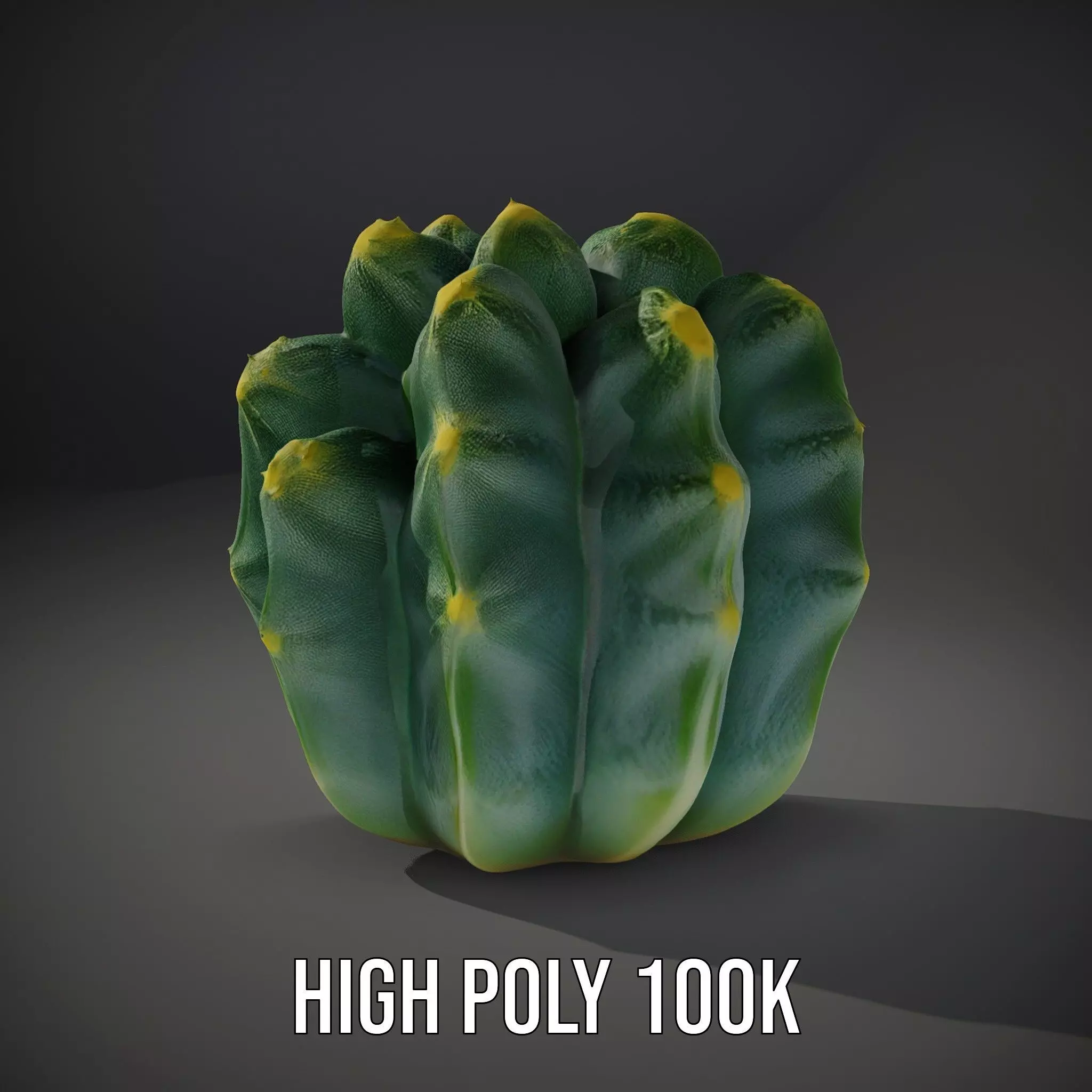 Round Green Cactus model pack Low-poly 3D model_8