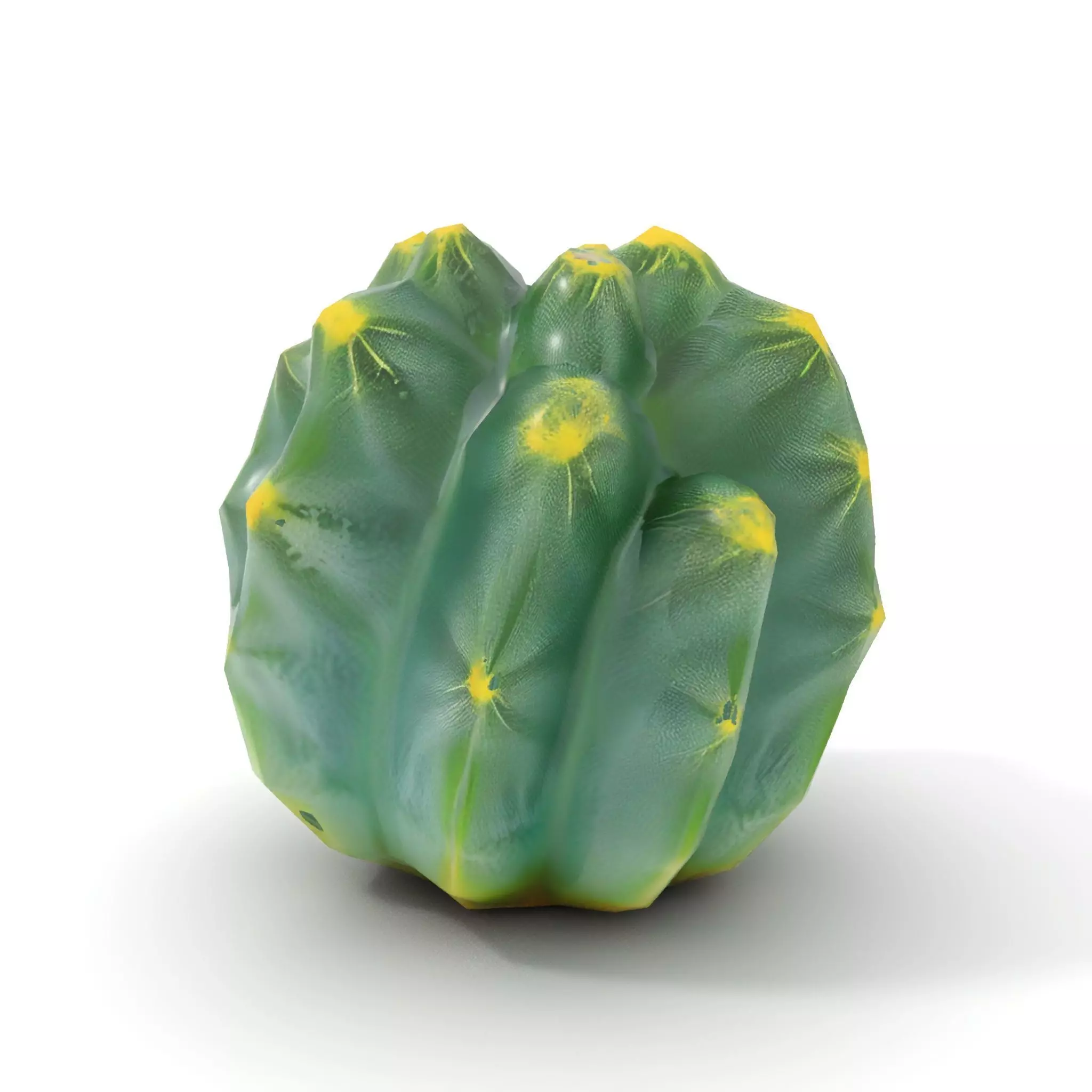 Round Green Cactus model pack Low-poly 3D model_7