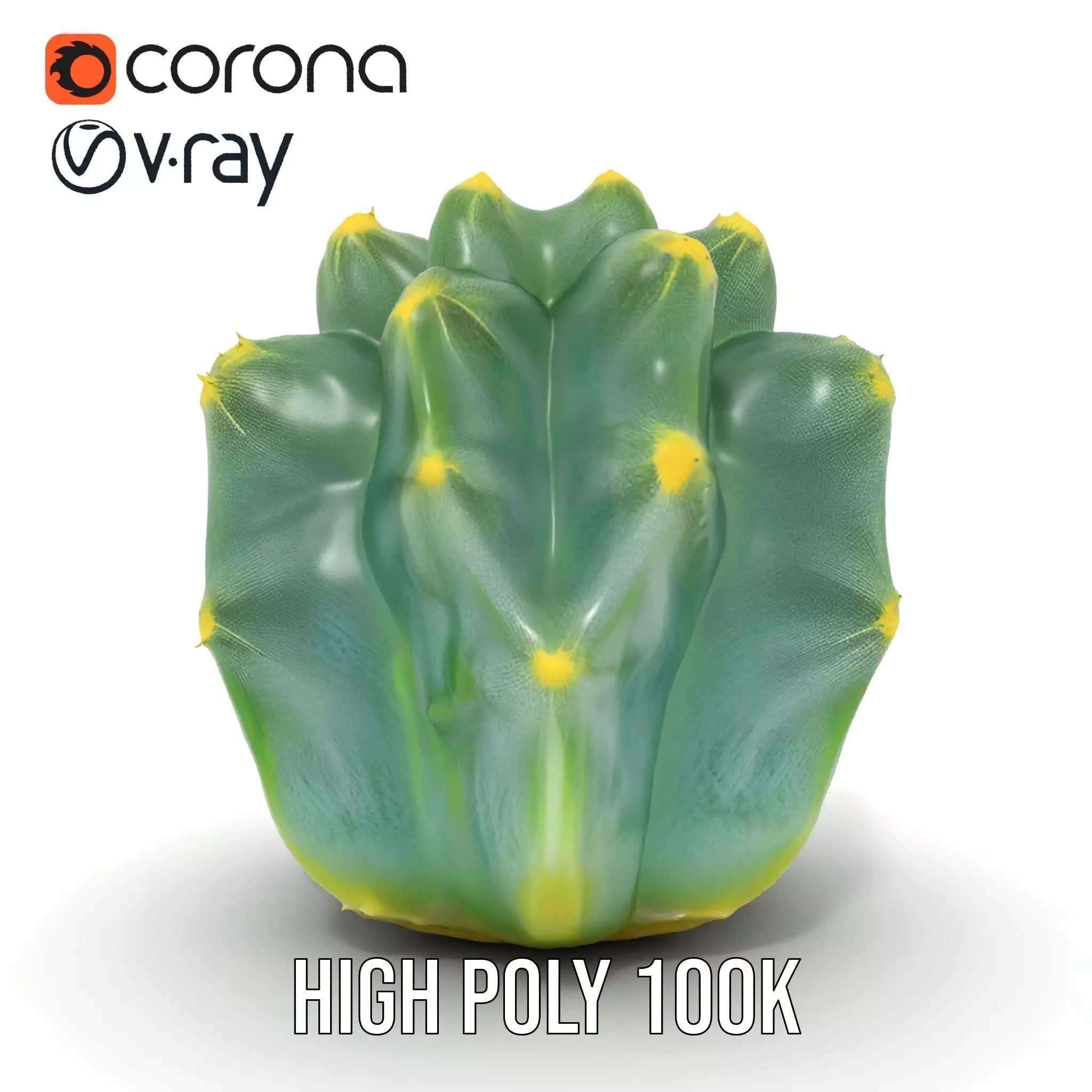 Round Green Cactus model pack Low-poly 3D model_29