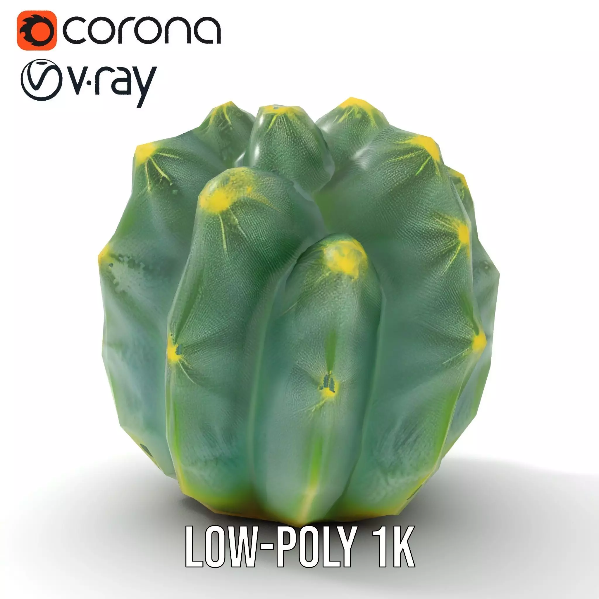 Round Green Cactus model pack Low-poly 3D model_9
