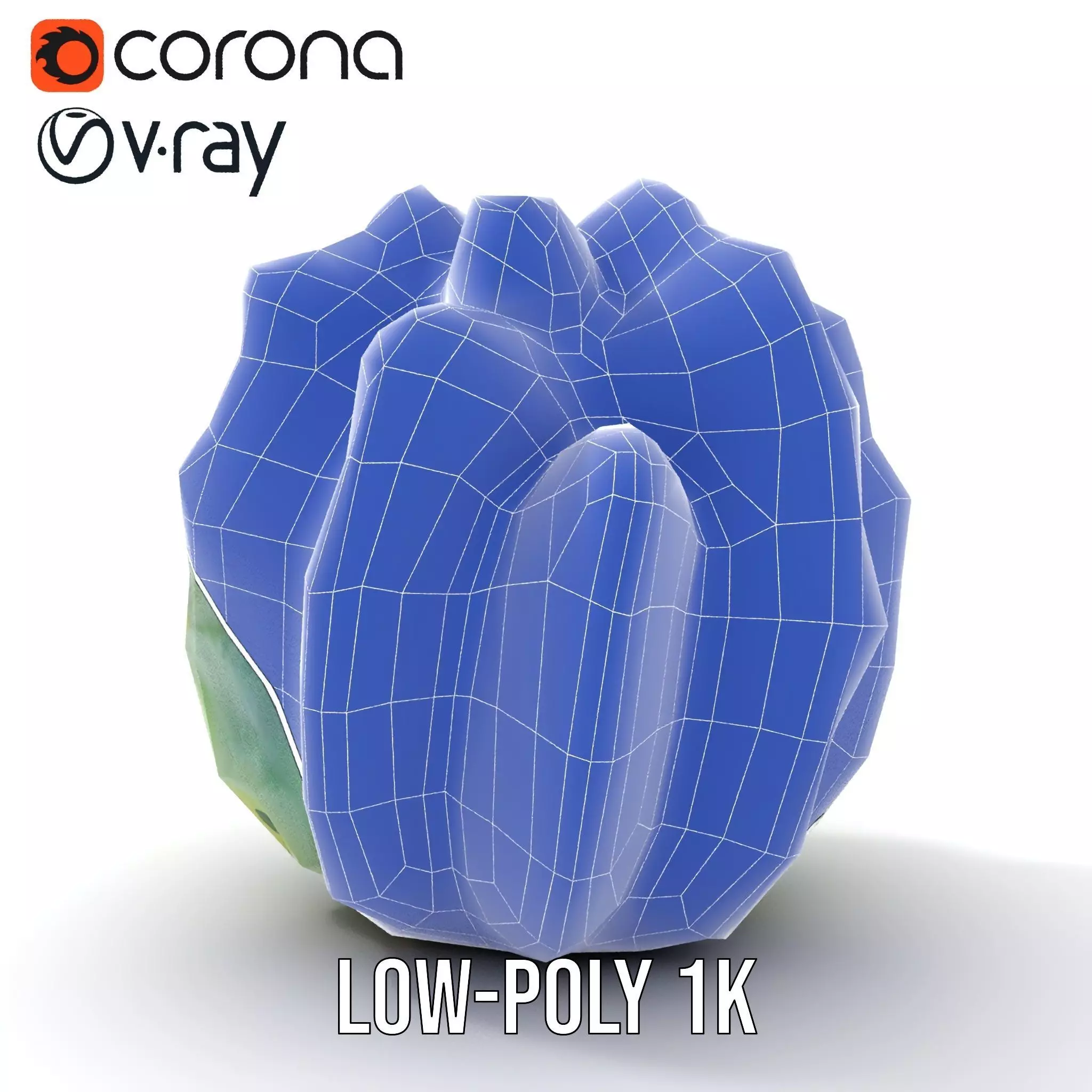 Round Green Cactus model pack Low-poly 3D model_31