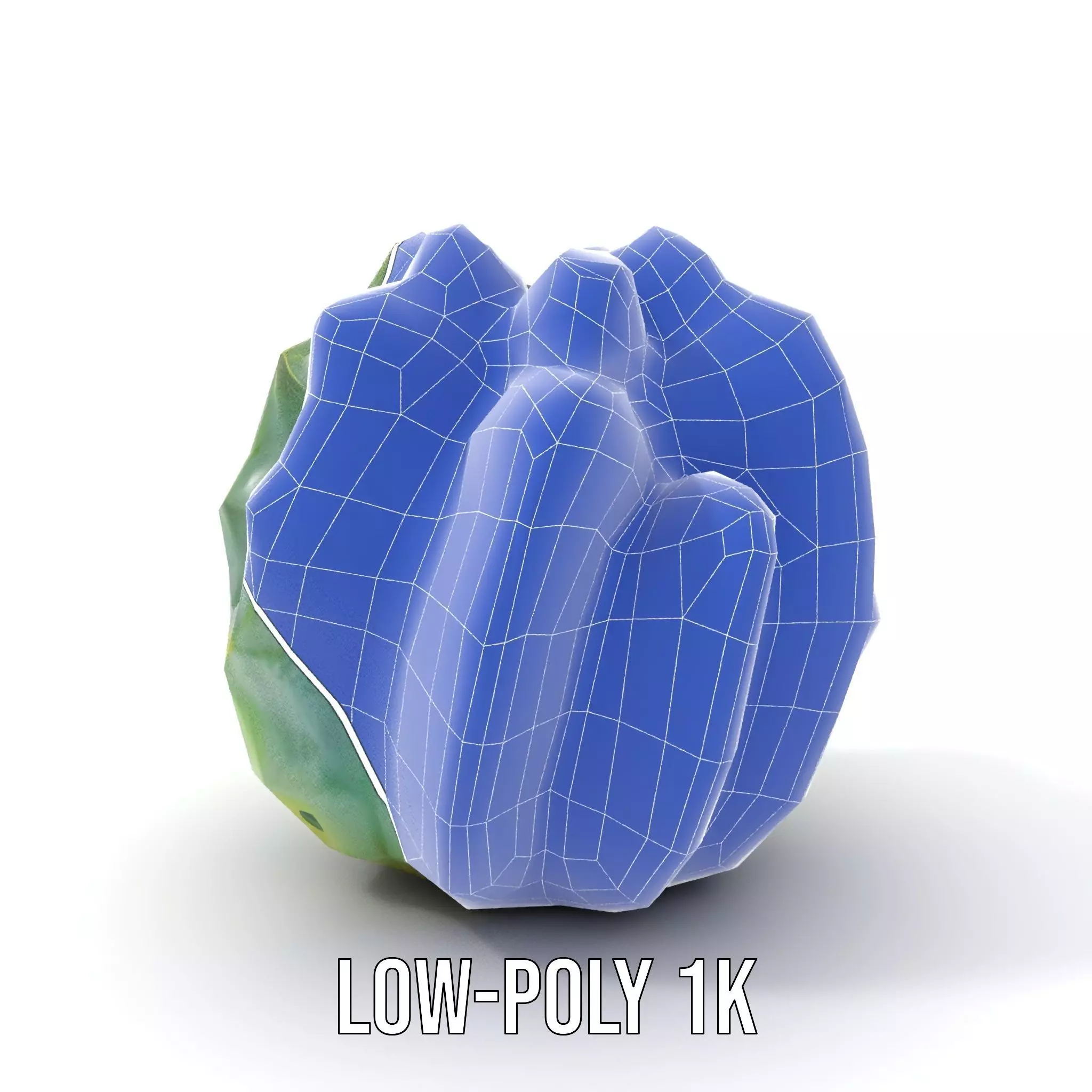 Round Green Cactus model pack Low-poly 3D model_14