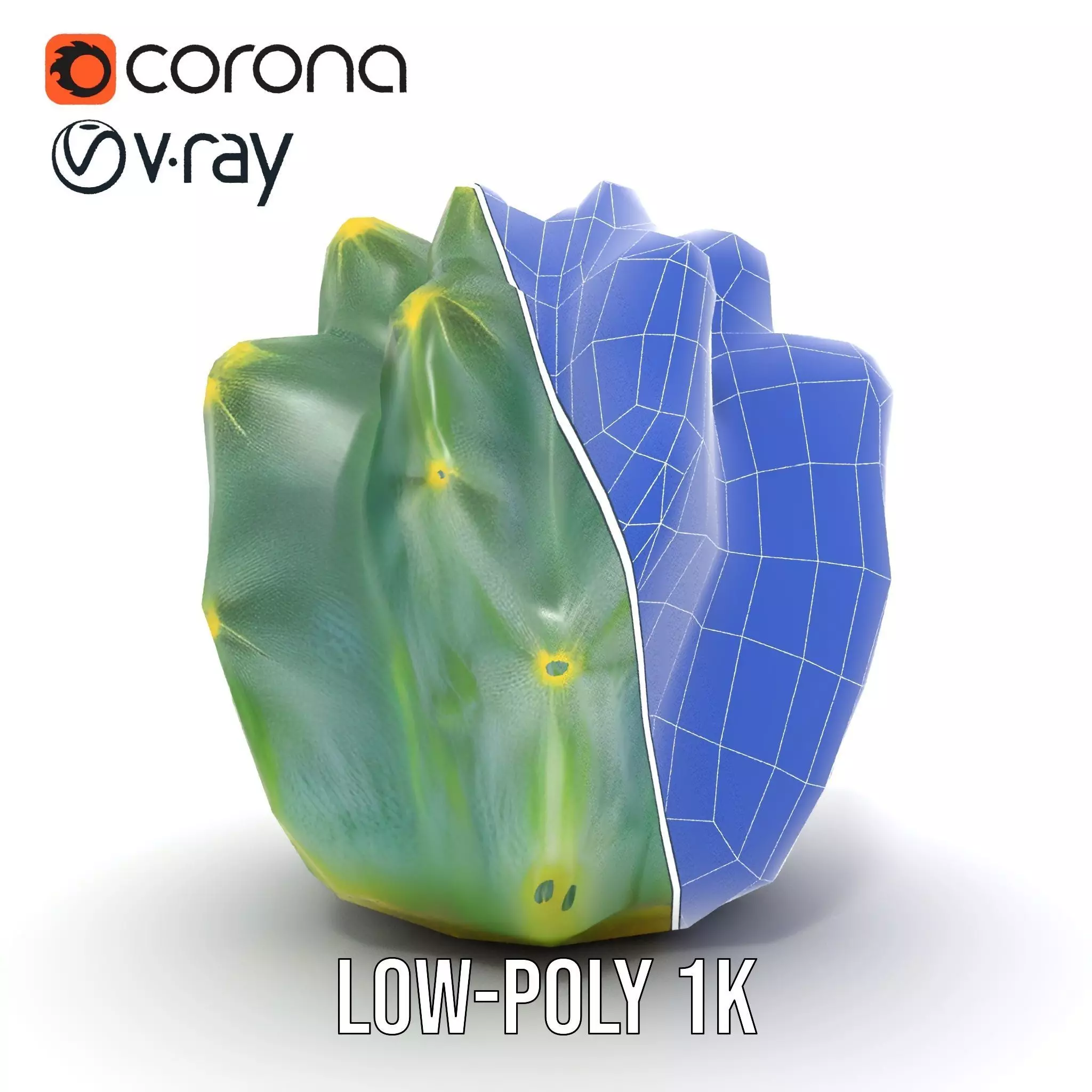 Round Green Cactus model pack Low-poly 3D model_22