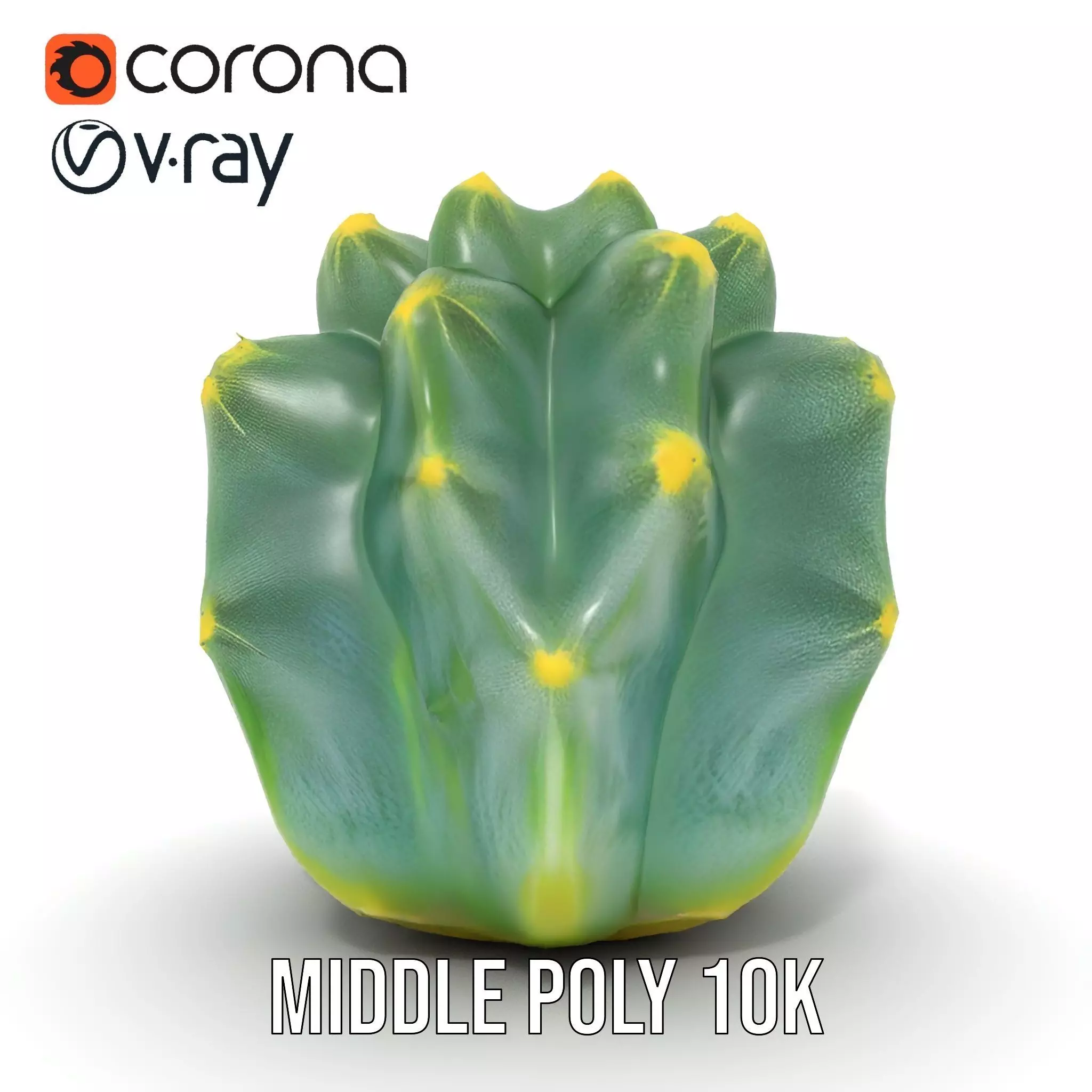 Round Green Cactus model pack Low-poly 3D model_13