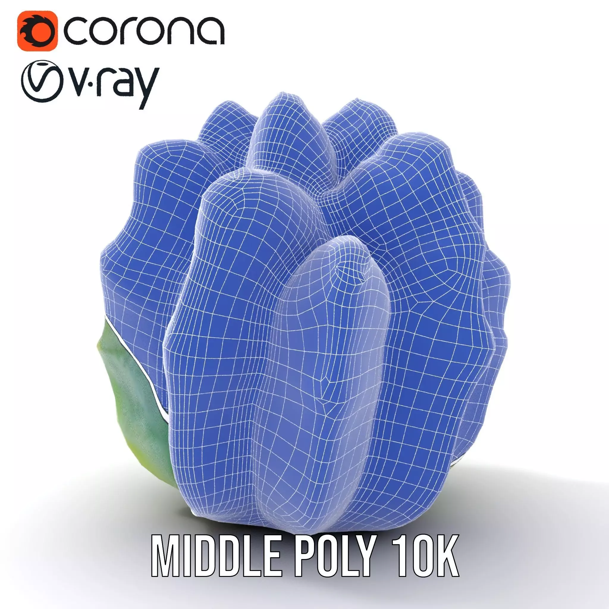 Round Green Cactus model pack Low-poly 3D model_30