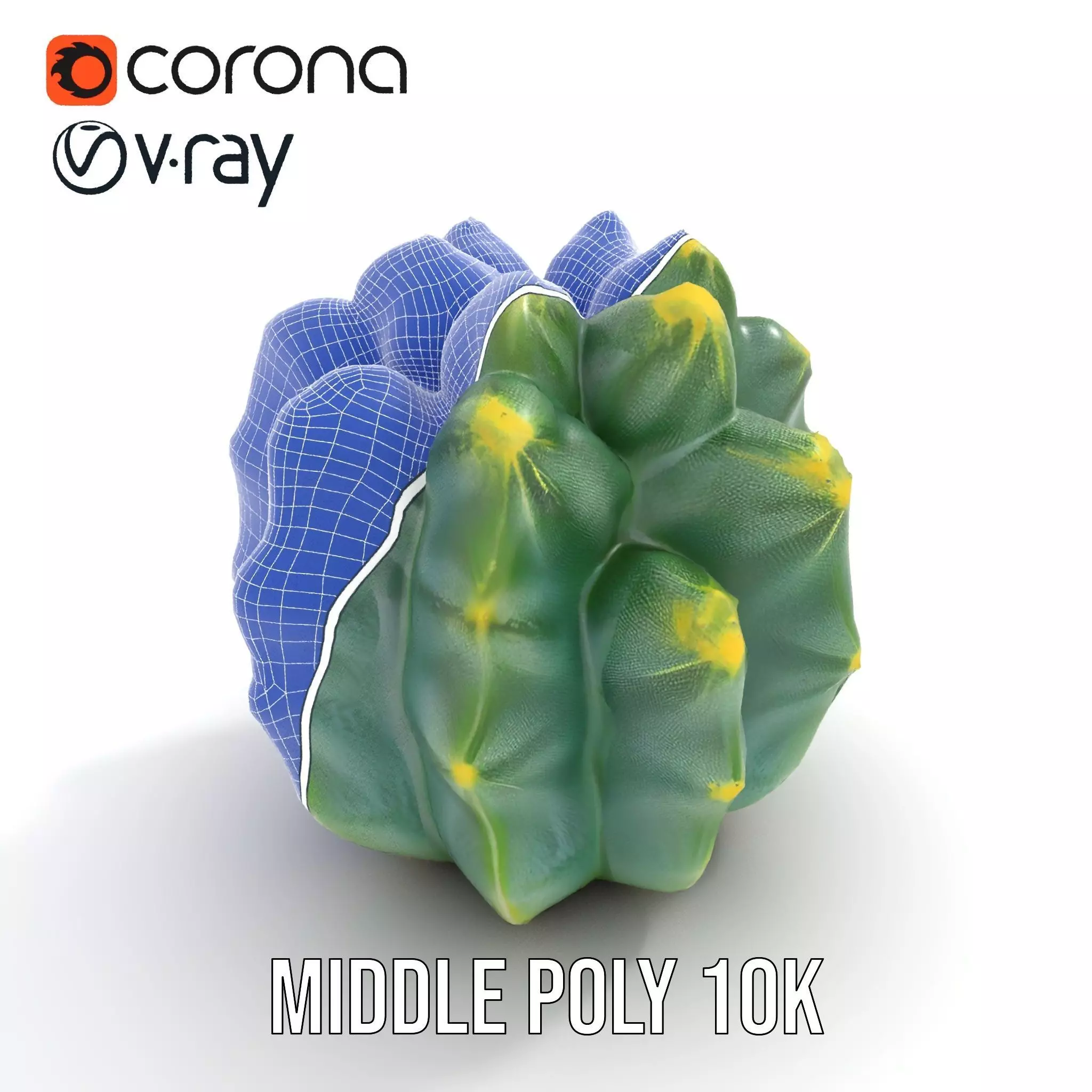 Round Green Cactus model pack Low-poly 3D model_24