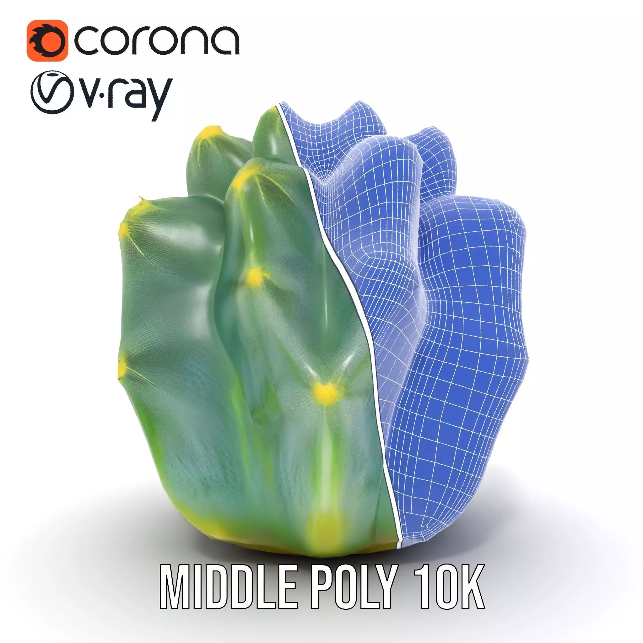 Round Green Cactus model pack Low-poly 3D model_27