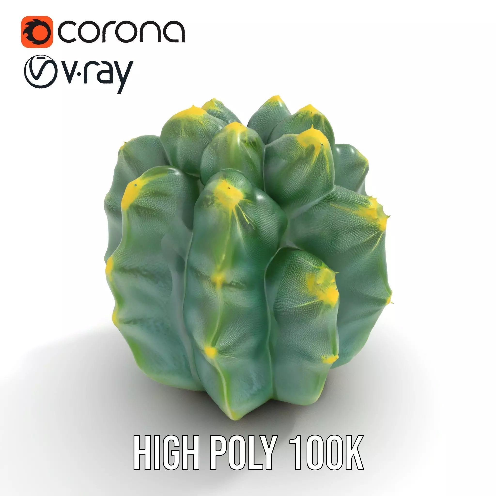 Round Green Cactus model pack Low-poly 3D model_17