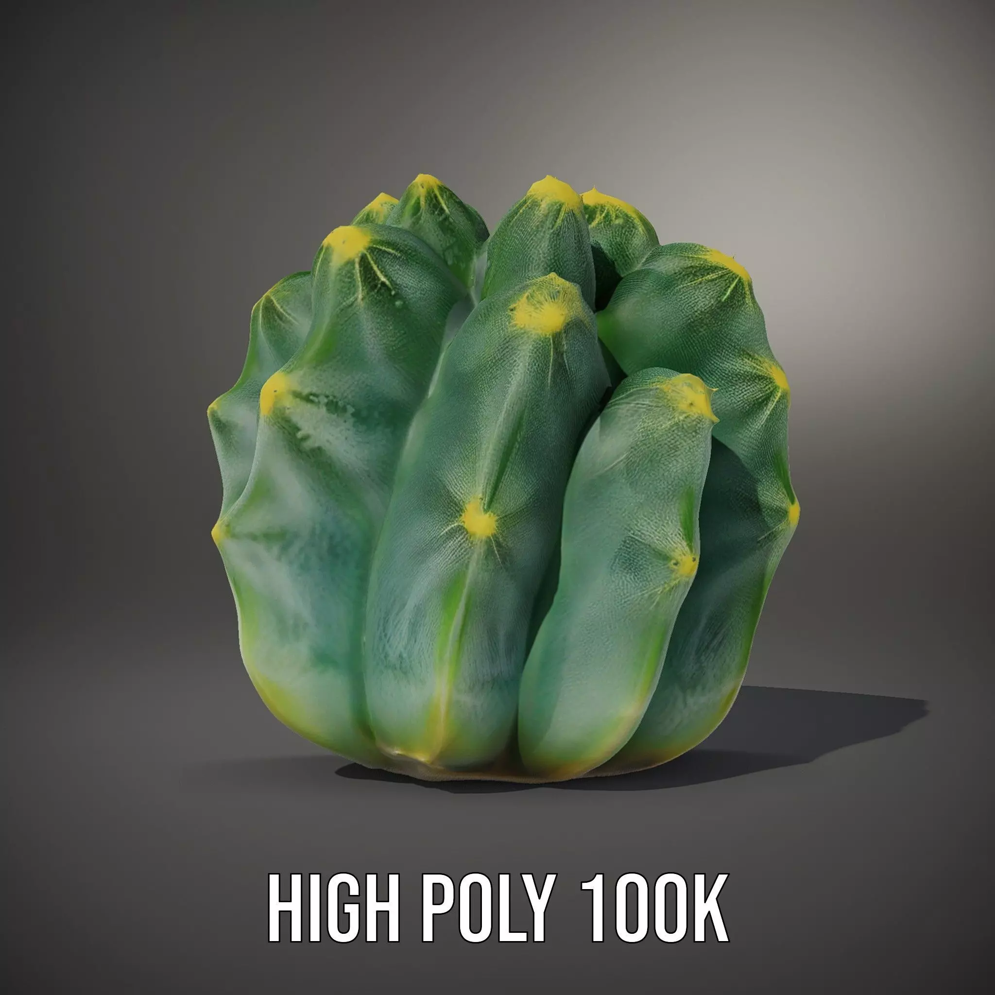 Round Green Cactus model pack Low-poly 3D model_10