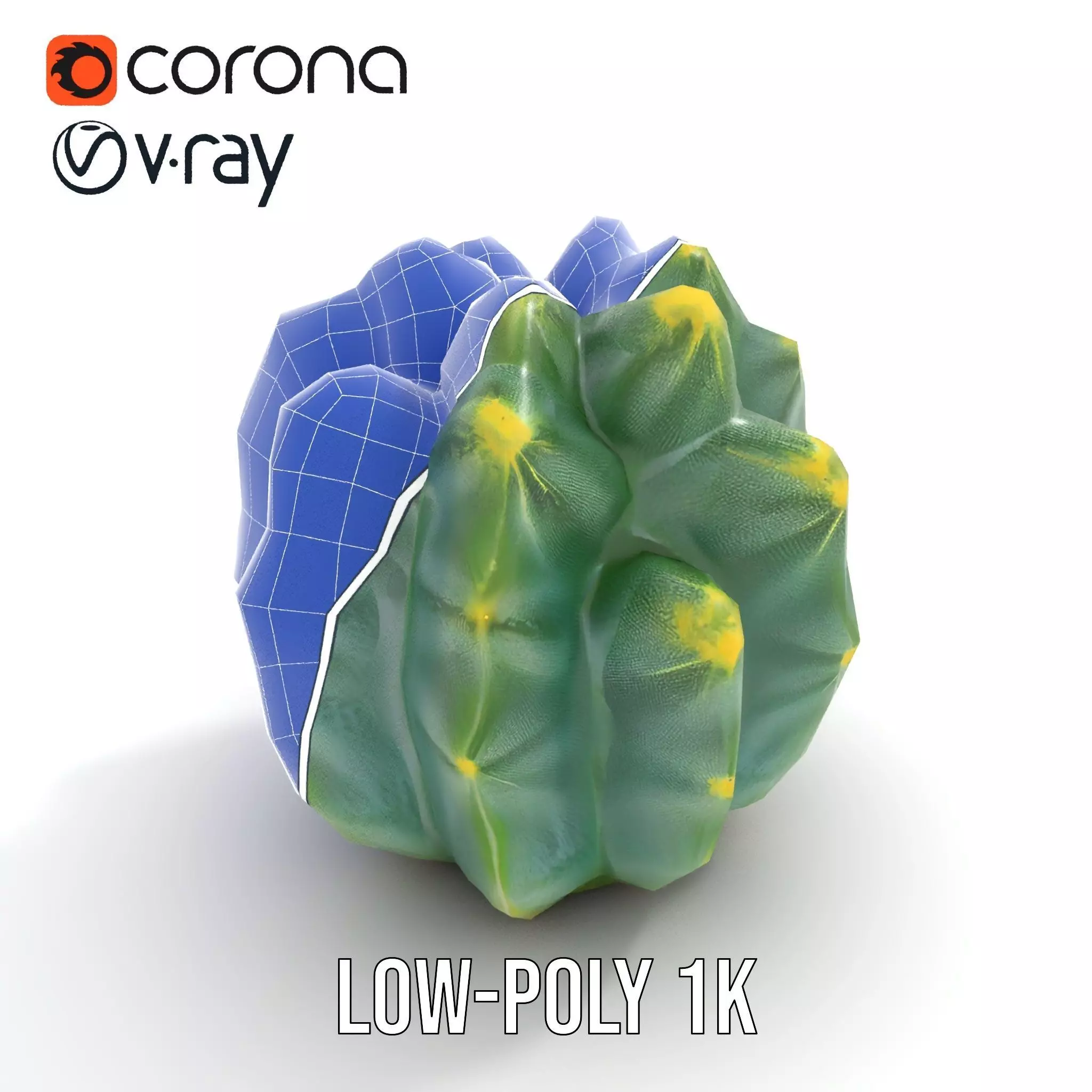 Round Green Cactus model pack Low-poly 3D model_25