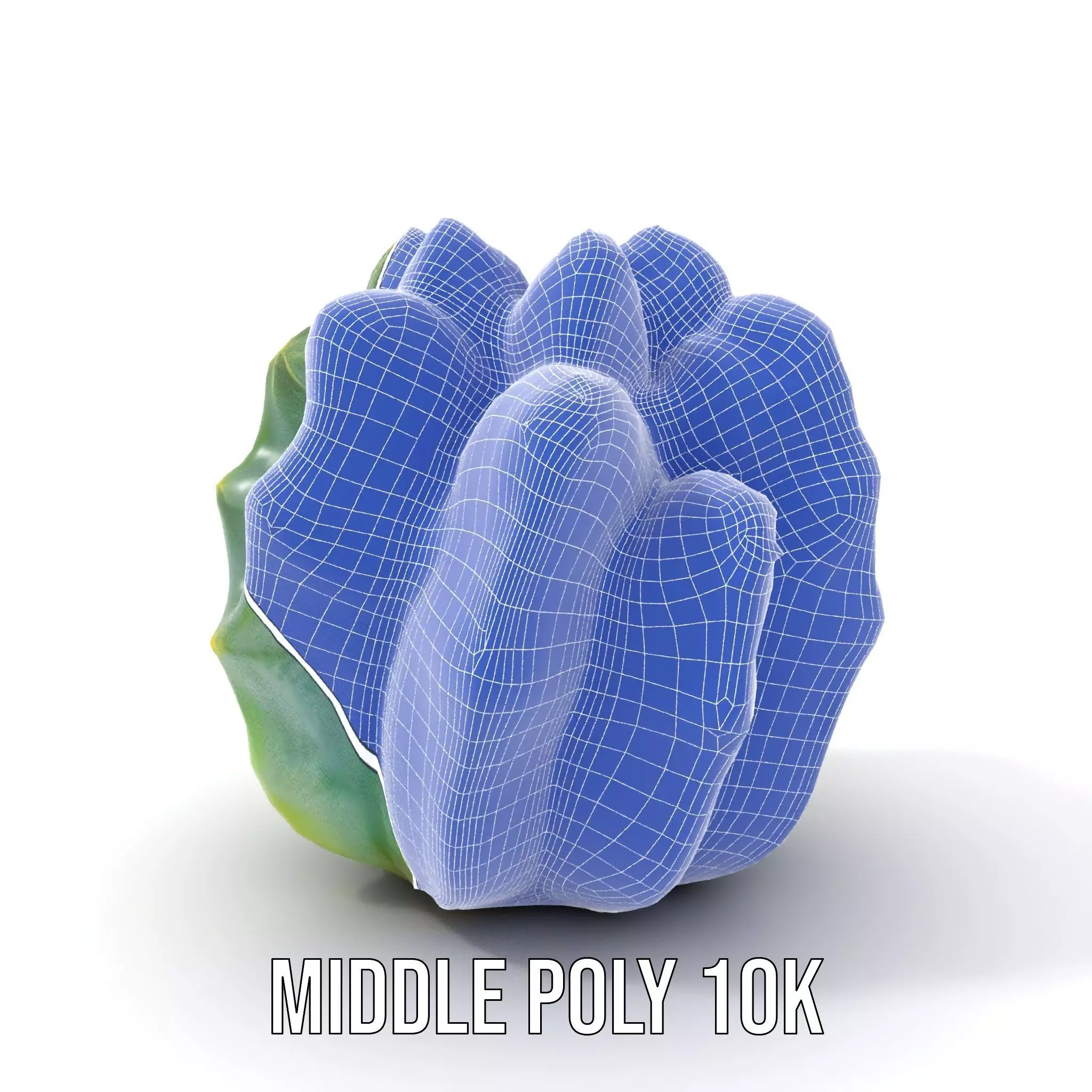 Round Green Cactus model pack Low-poly 3D model_5