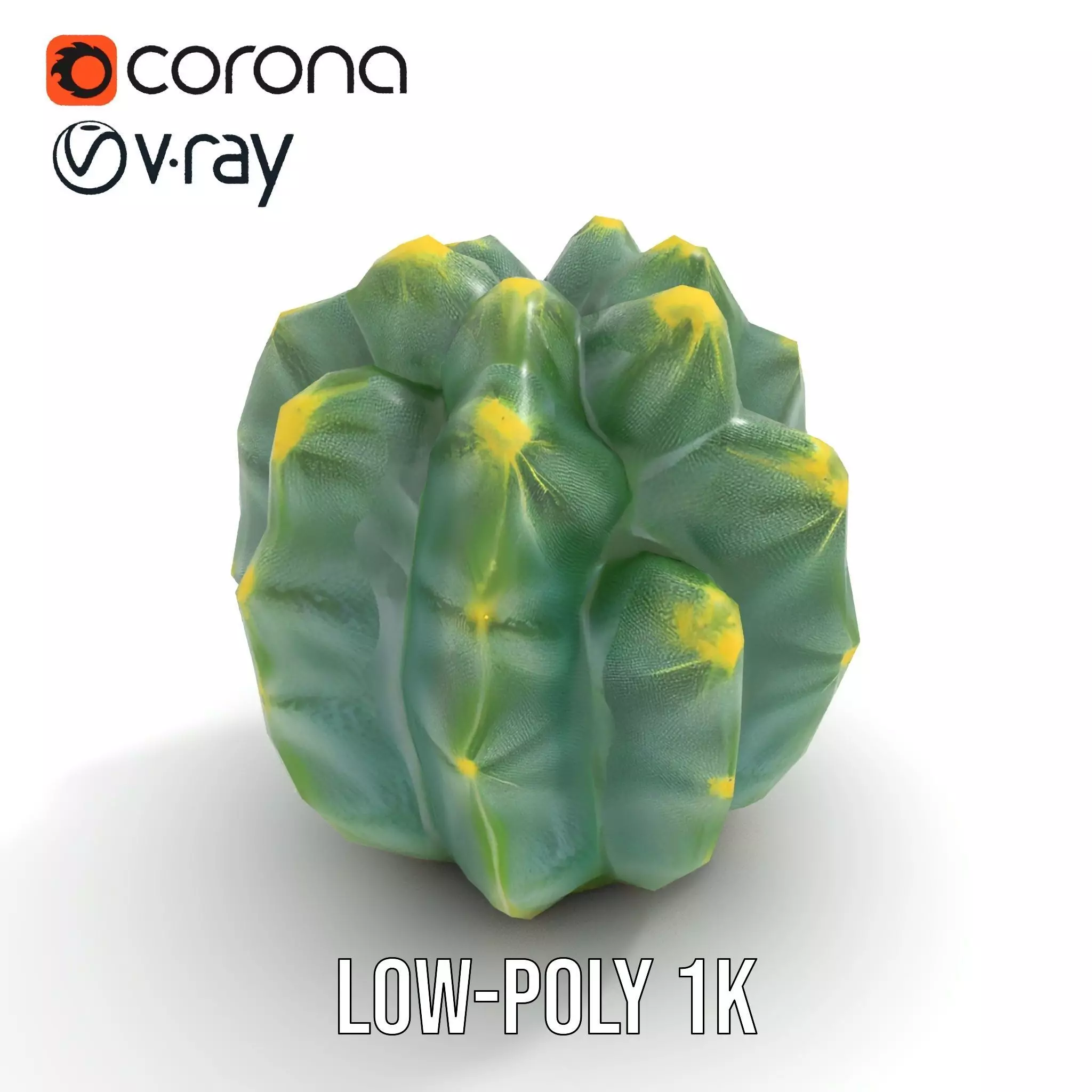 Round Green Cactus model pack Low-poly 3D model_16