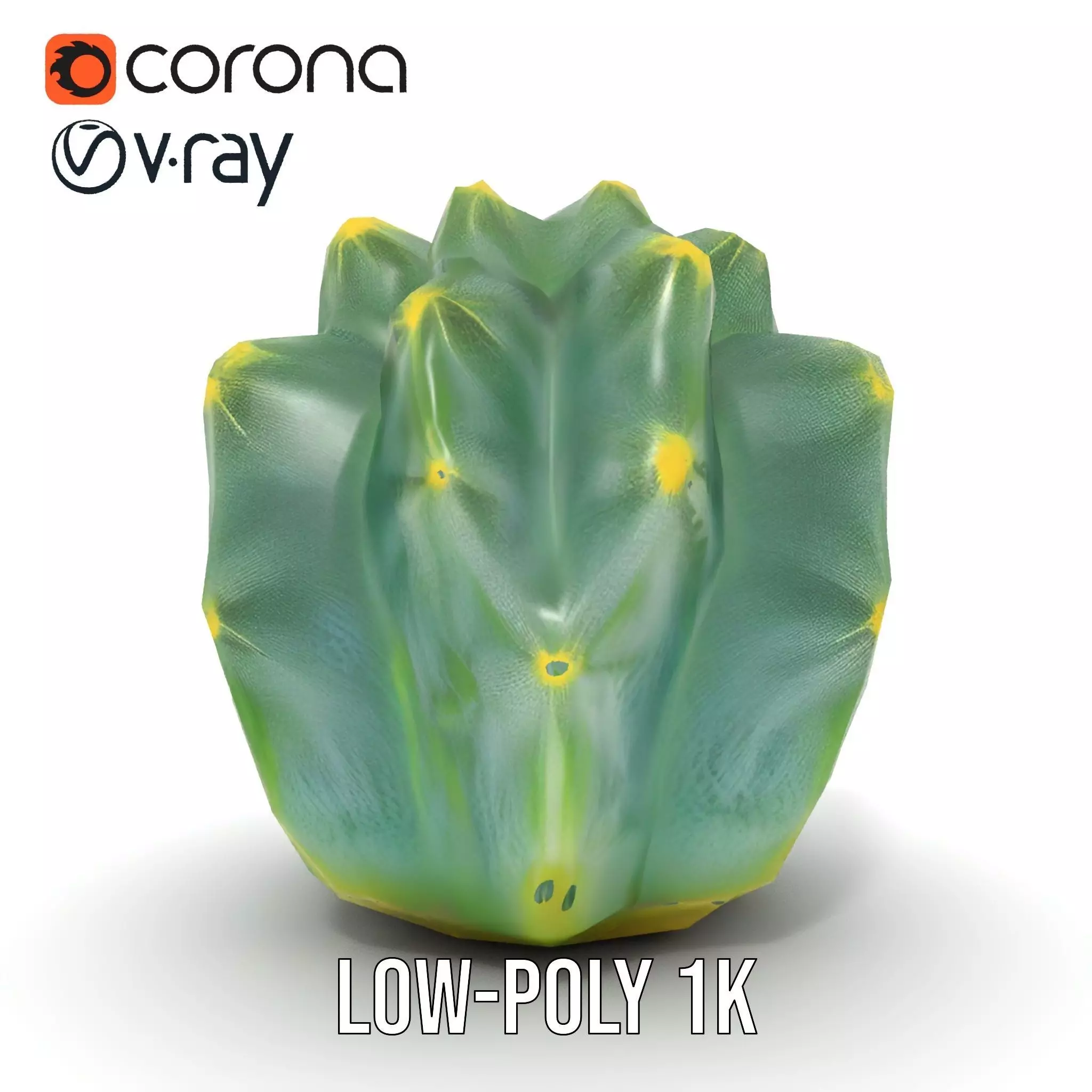 Round Green Cactus model pack Low-poly 3D model_12