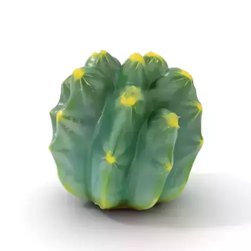 Round Green Cactus model pack Low-poly 3D model
