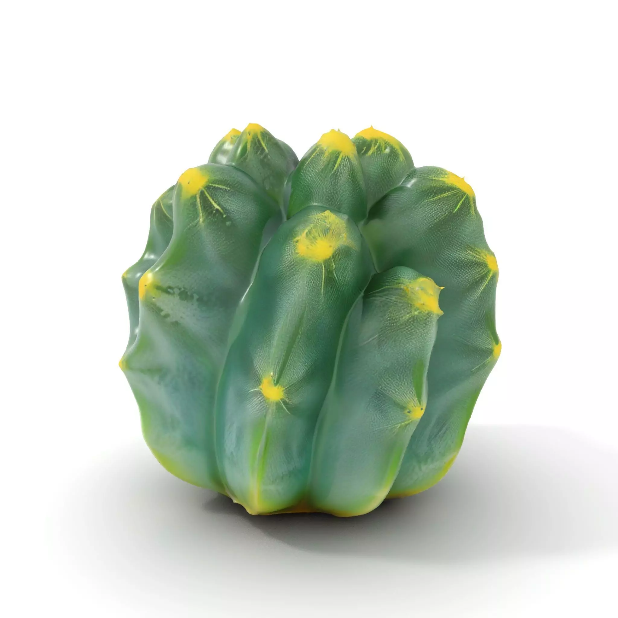 Round Green Cactus model pack Low-poly 3D model_0