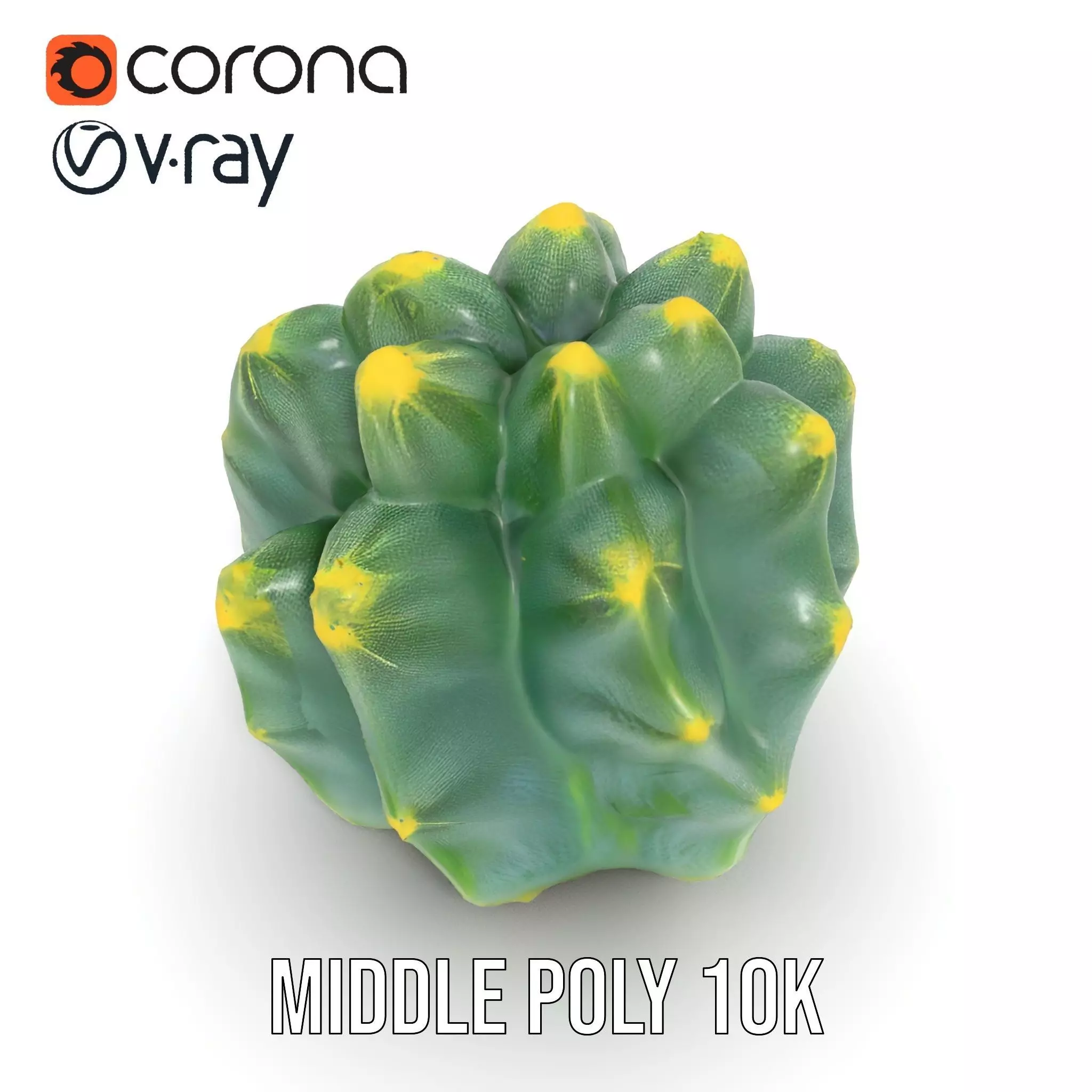 Round Green Cactus model pack Low-poly 3D model_6