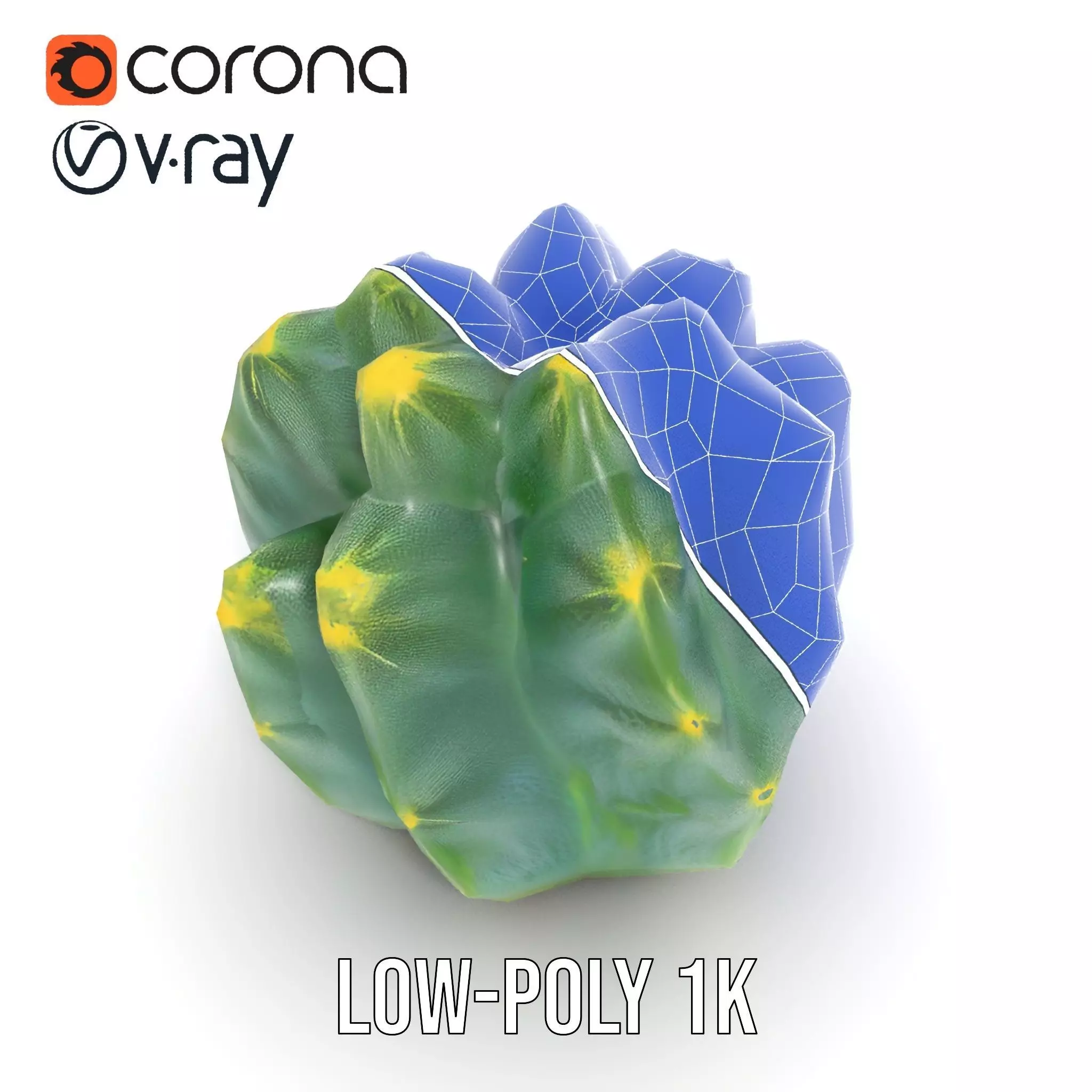 Round Green Cactus model pack Low-poly 3D model_28